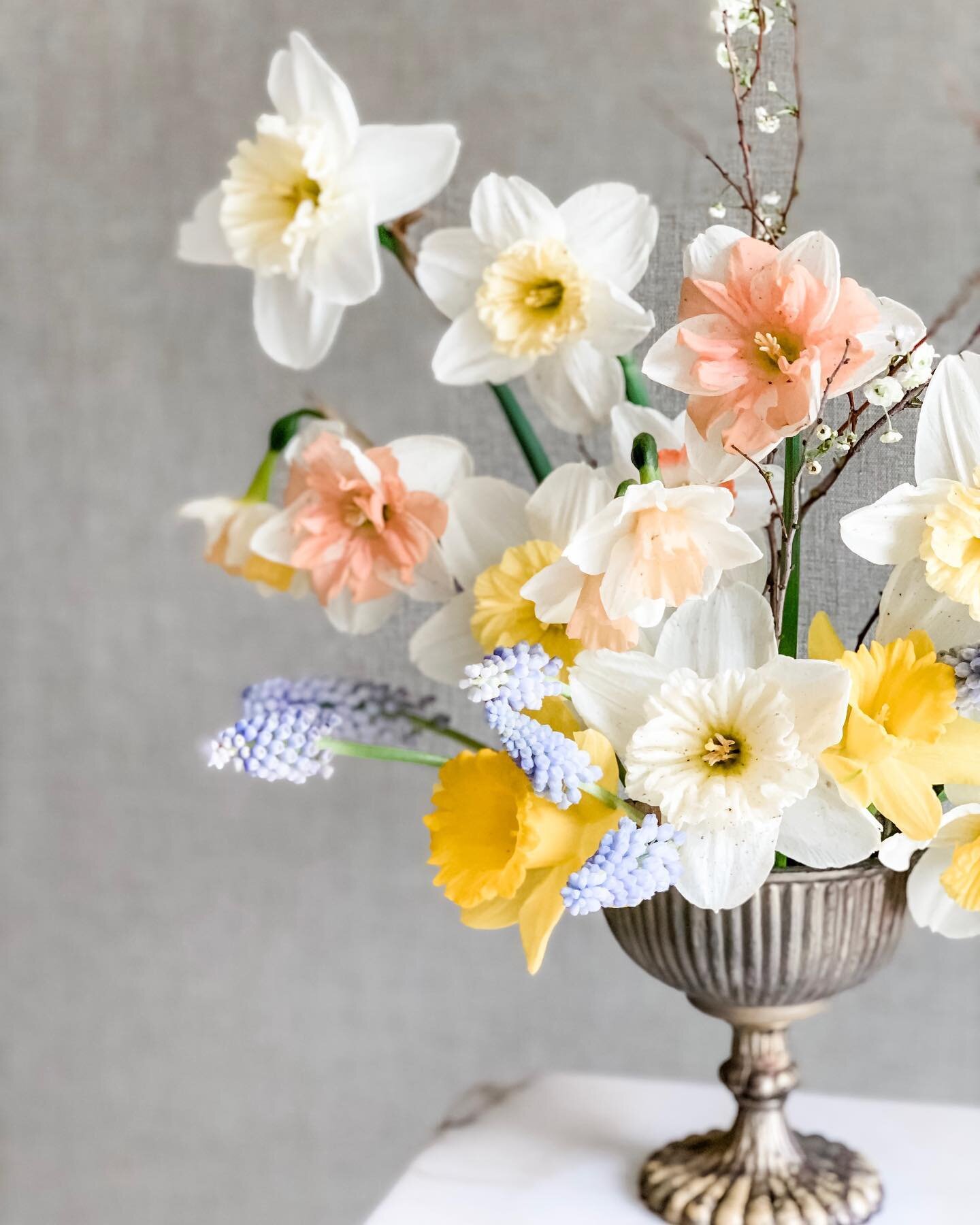 Happy Spring Things! Hope you had a great weekend. I was exhausted from the events of the weekend but today&rsquo;s weather and sun is giving me life todat. Grateful for the daffs, tulips and muscari blooming around the neighborhood and especially my