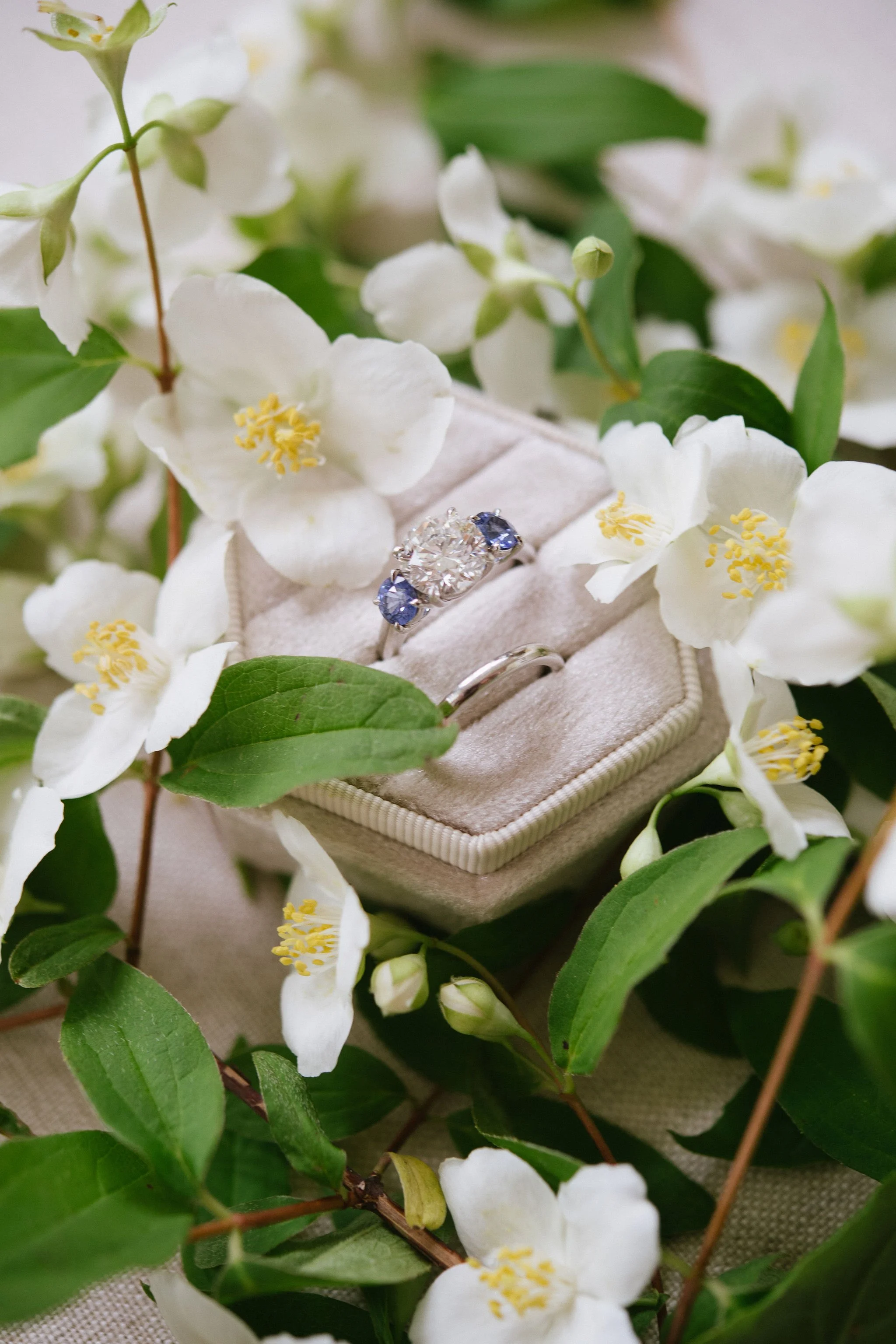 Sneakpeek-JenFarielloPhotography-117.jpg