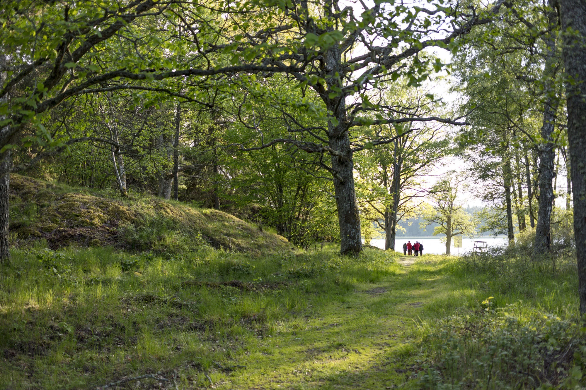 Vandring på Järflotta