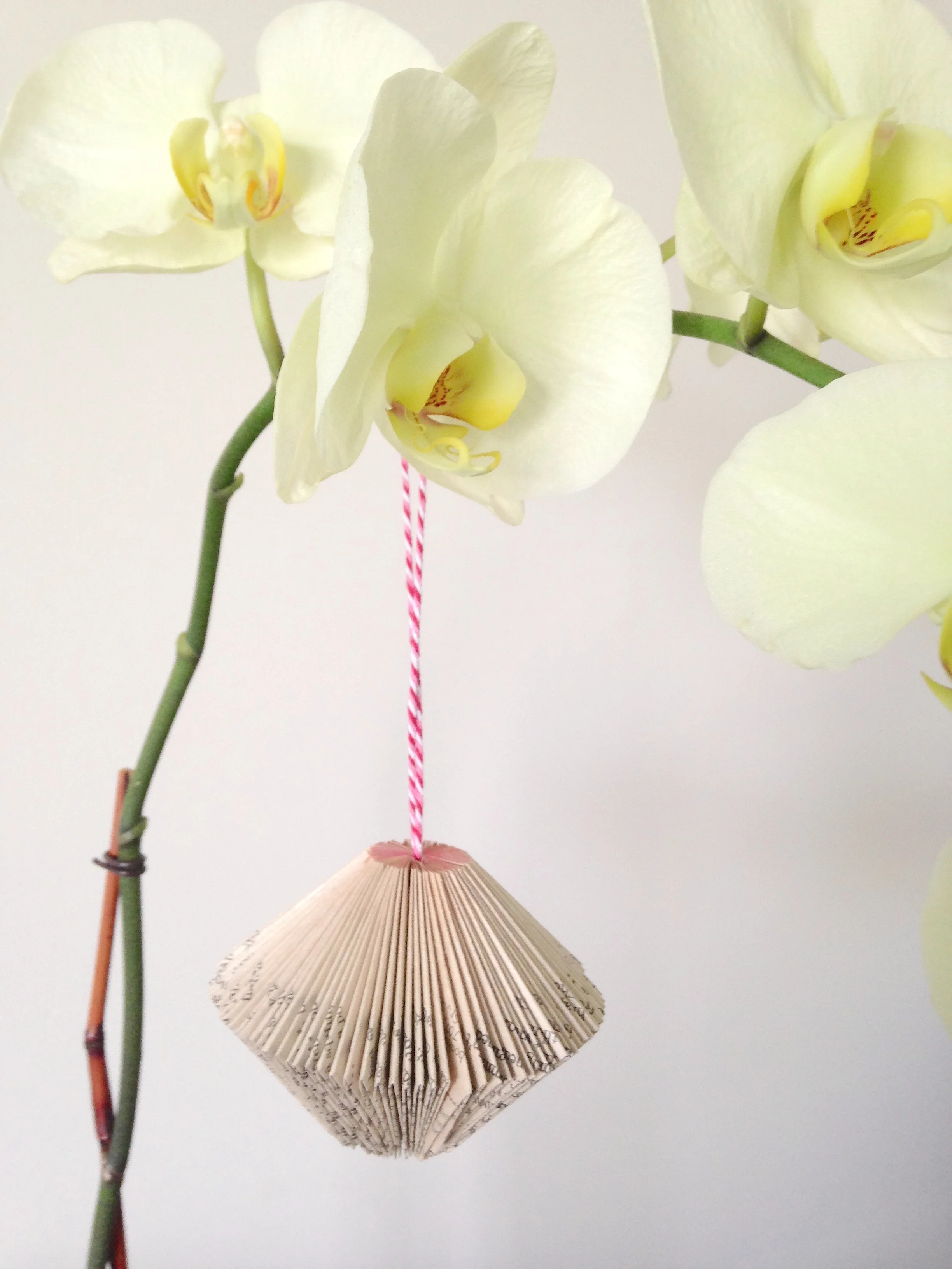 Book Hanging Single Setting.jpeg