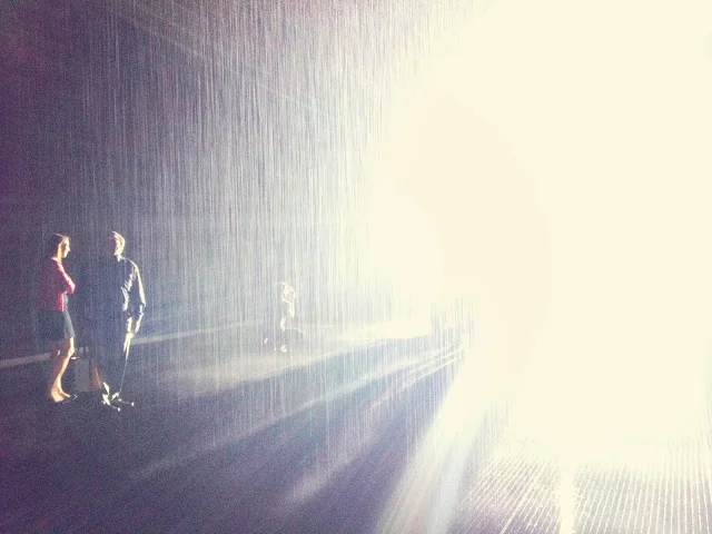 rain_rm1.jpg