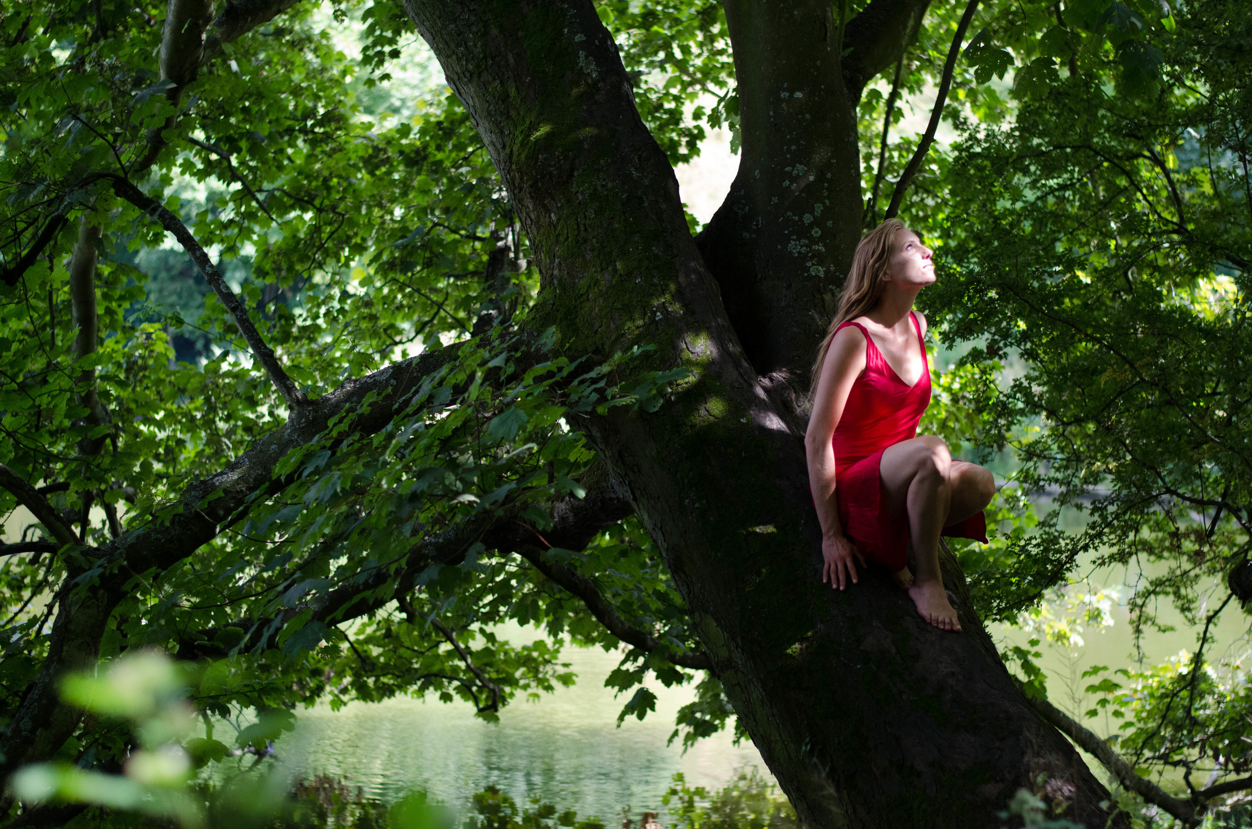 Tree nymph