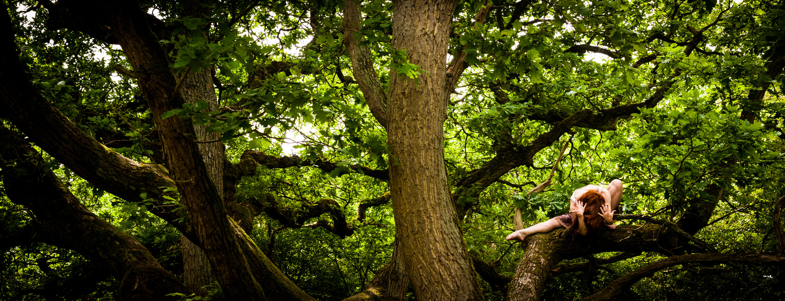 Tree dance
