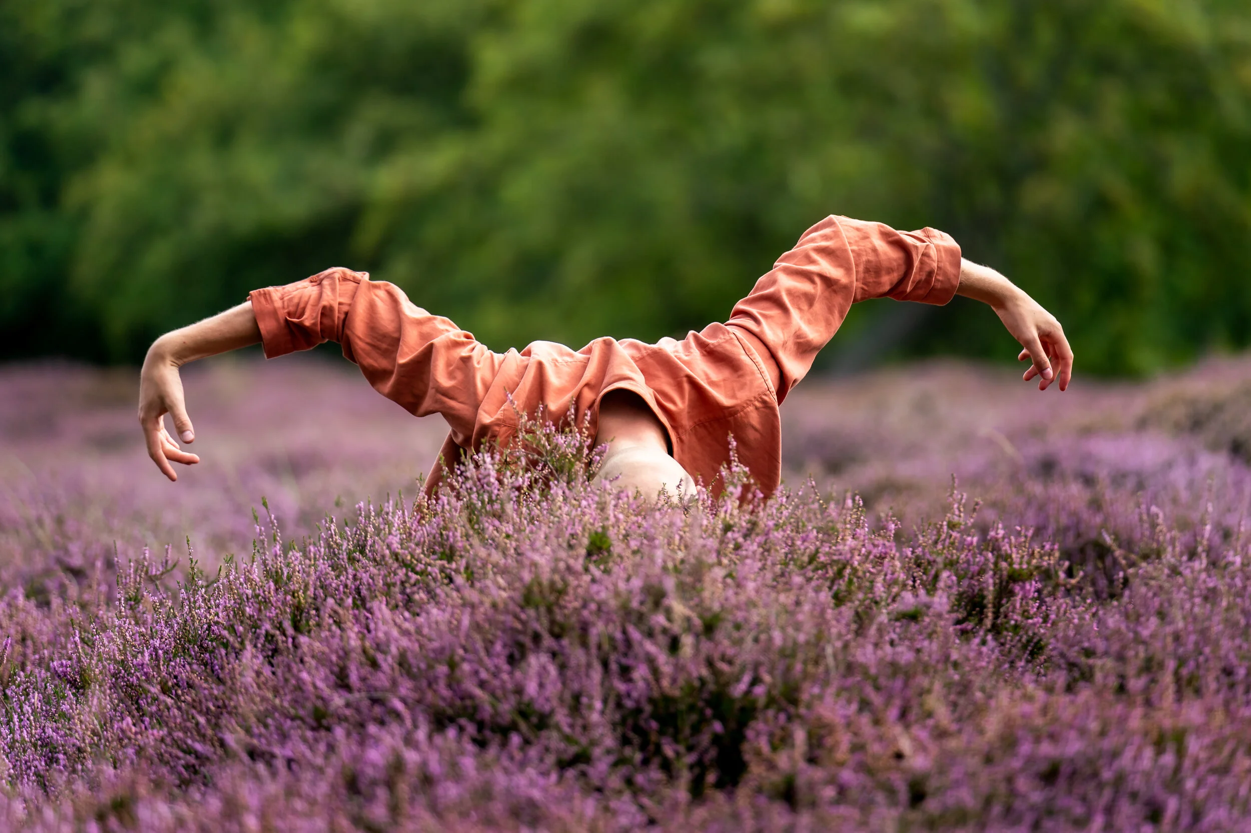 Heather Flow - Solleveld 2020