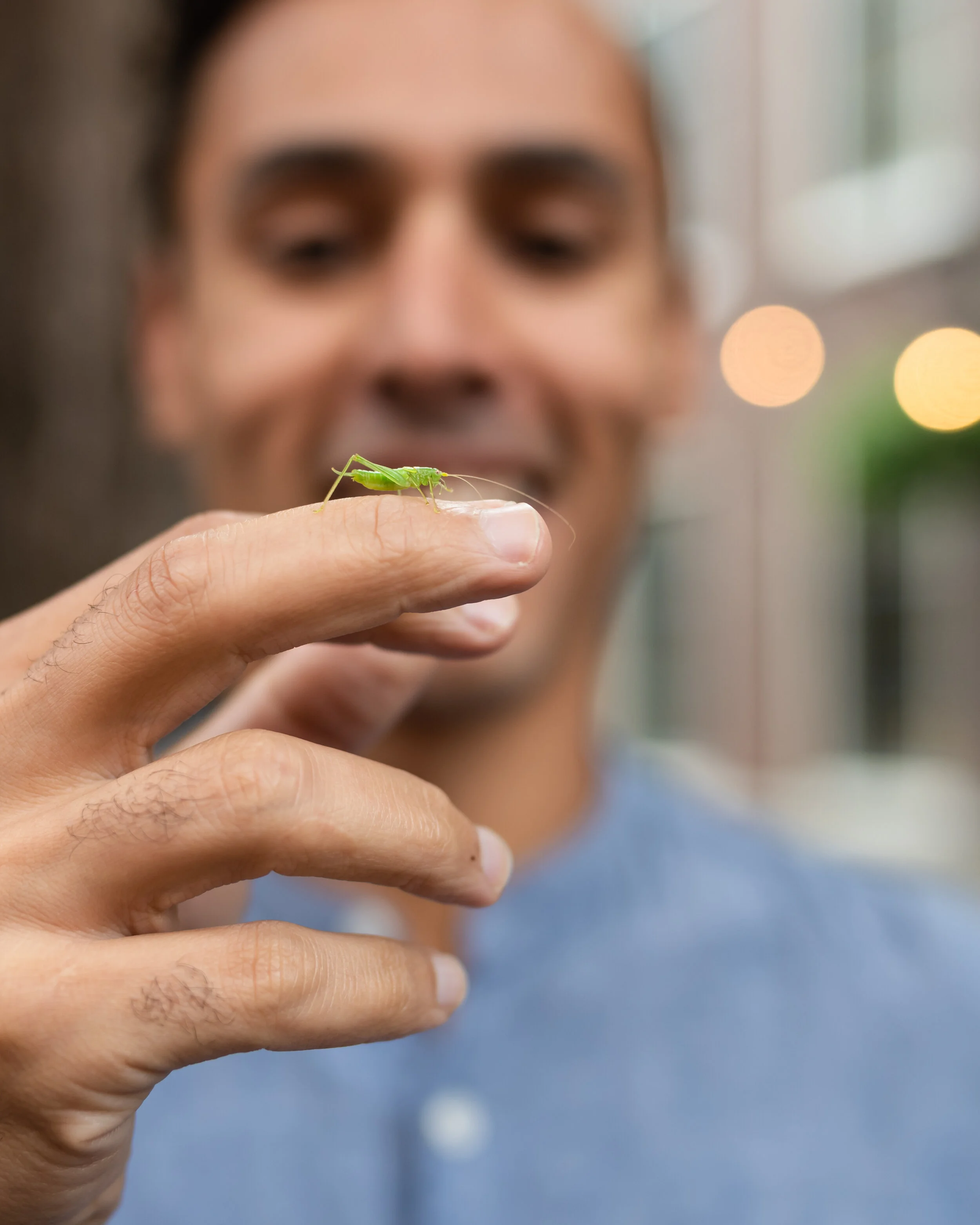 Samir's Cricket 2019