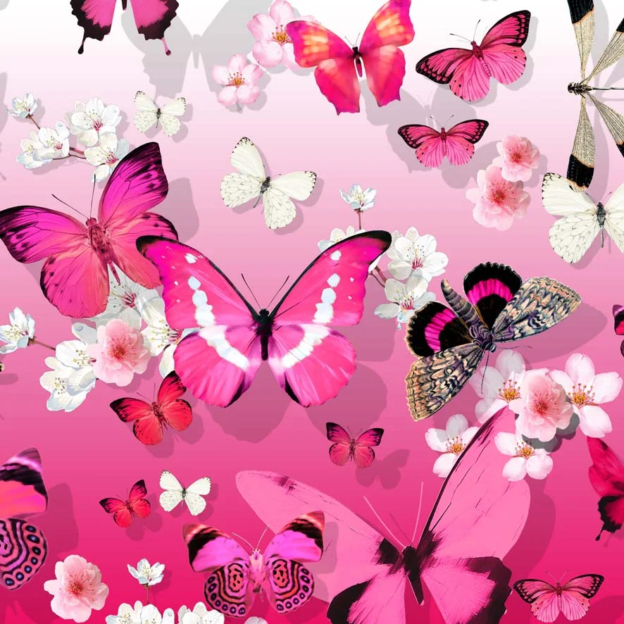 pink ombre butterfly pillow online