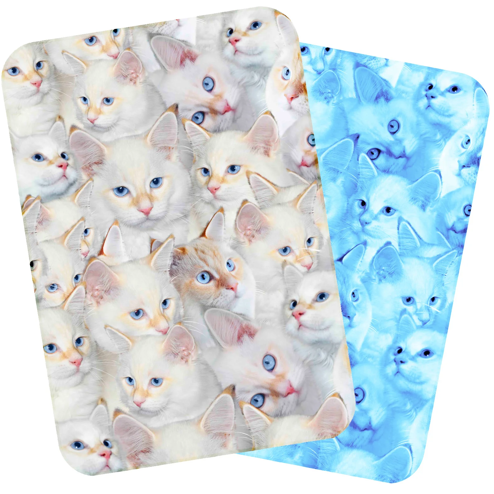 kitten baby blanket