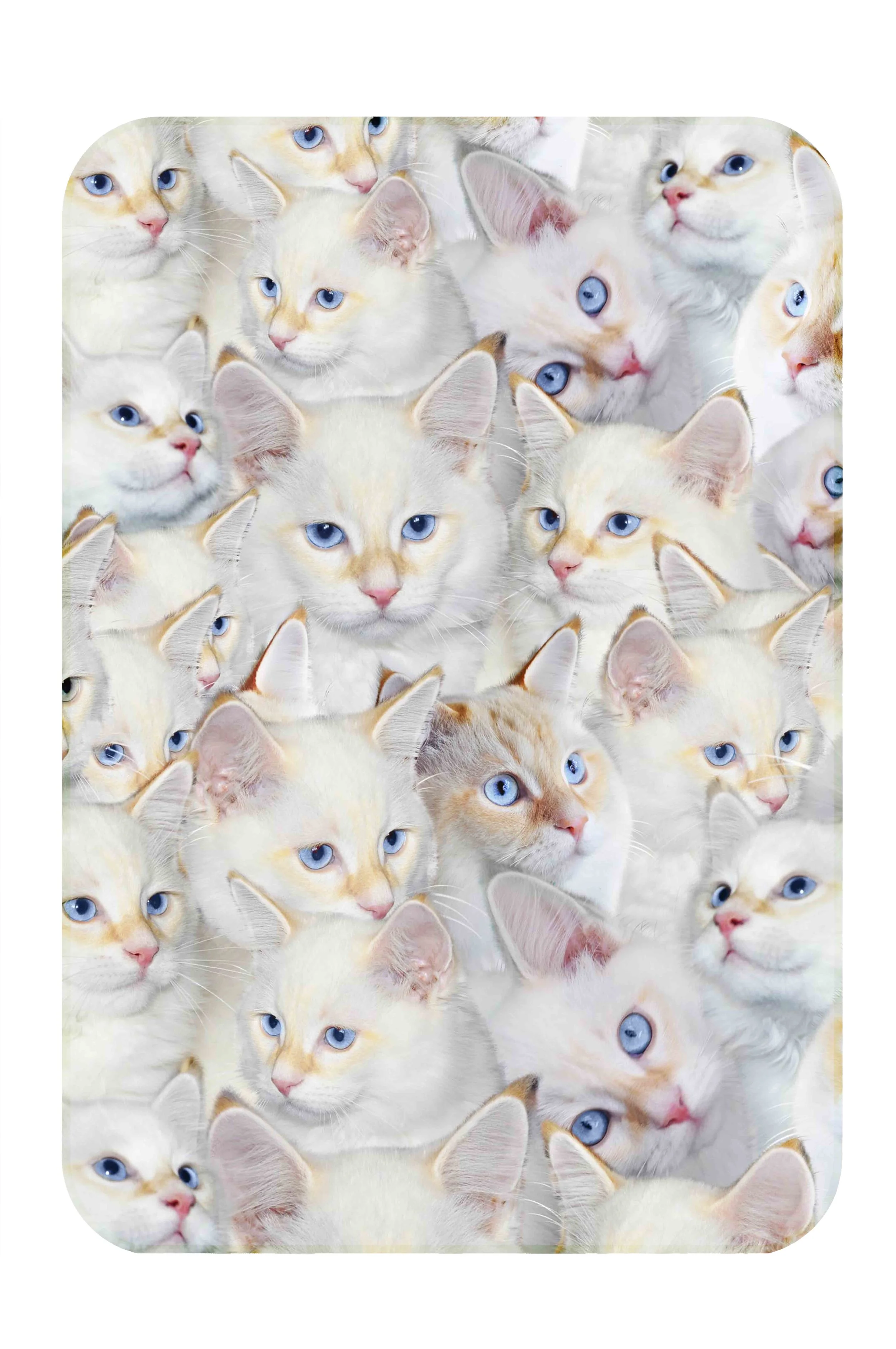 white kitten baby blanket