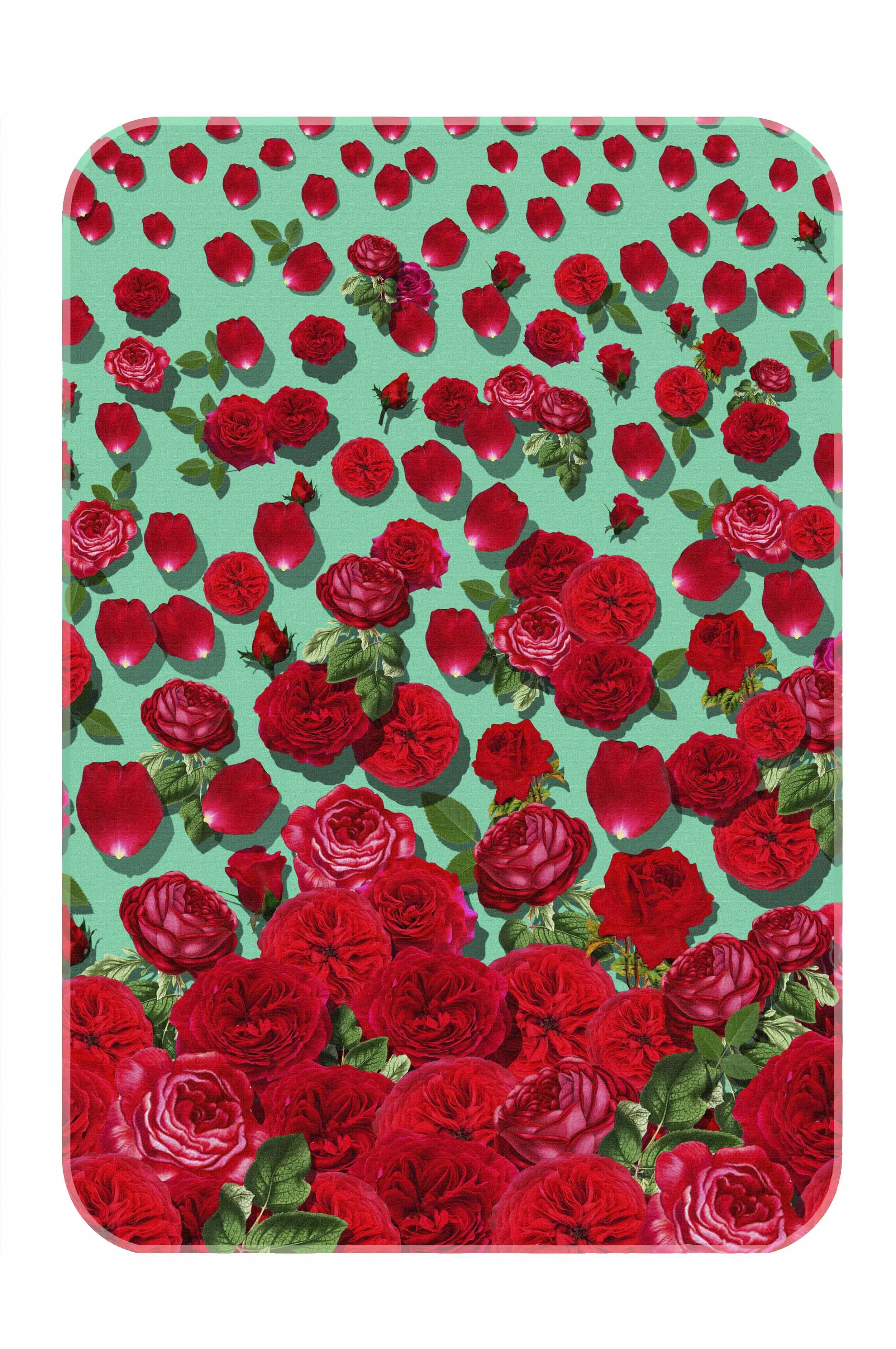 red rose baby blanket mint green
