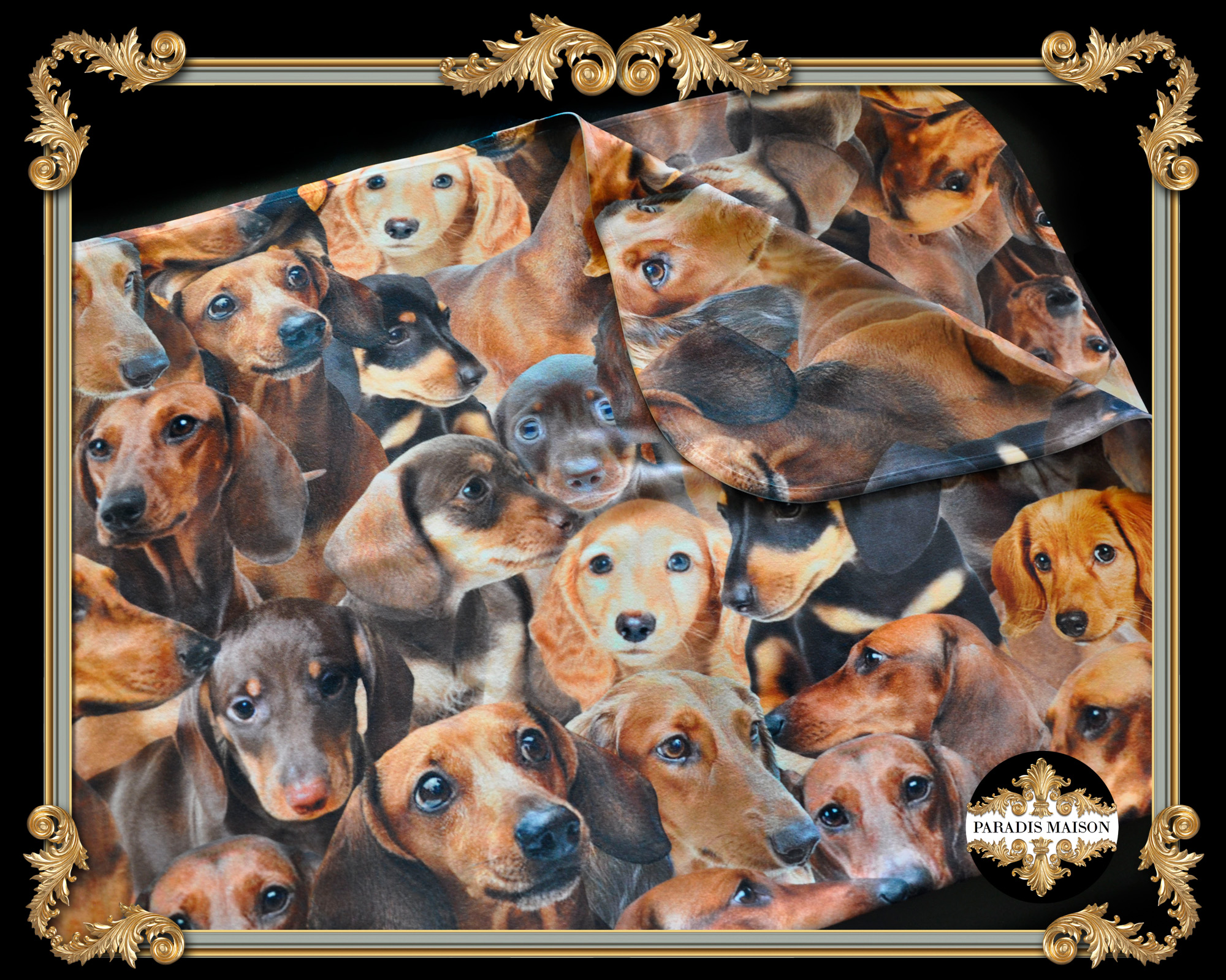 DACHSHUND_BABY_BLANKET.jpg