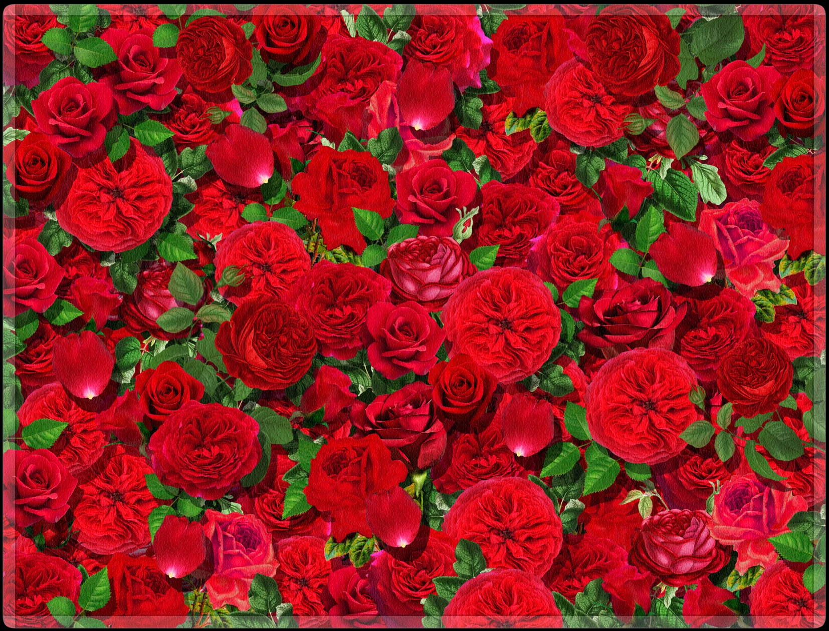 red roses throw blanket for sofa