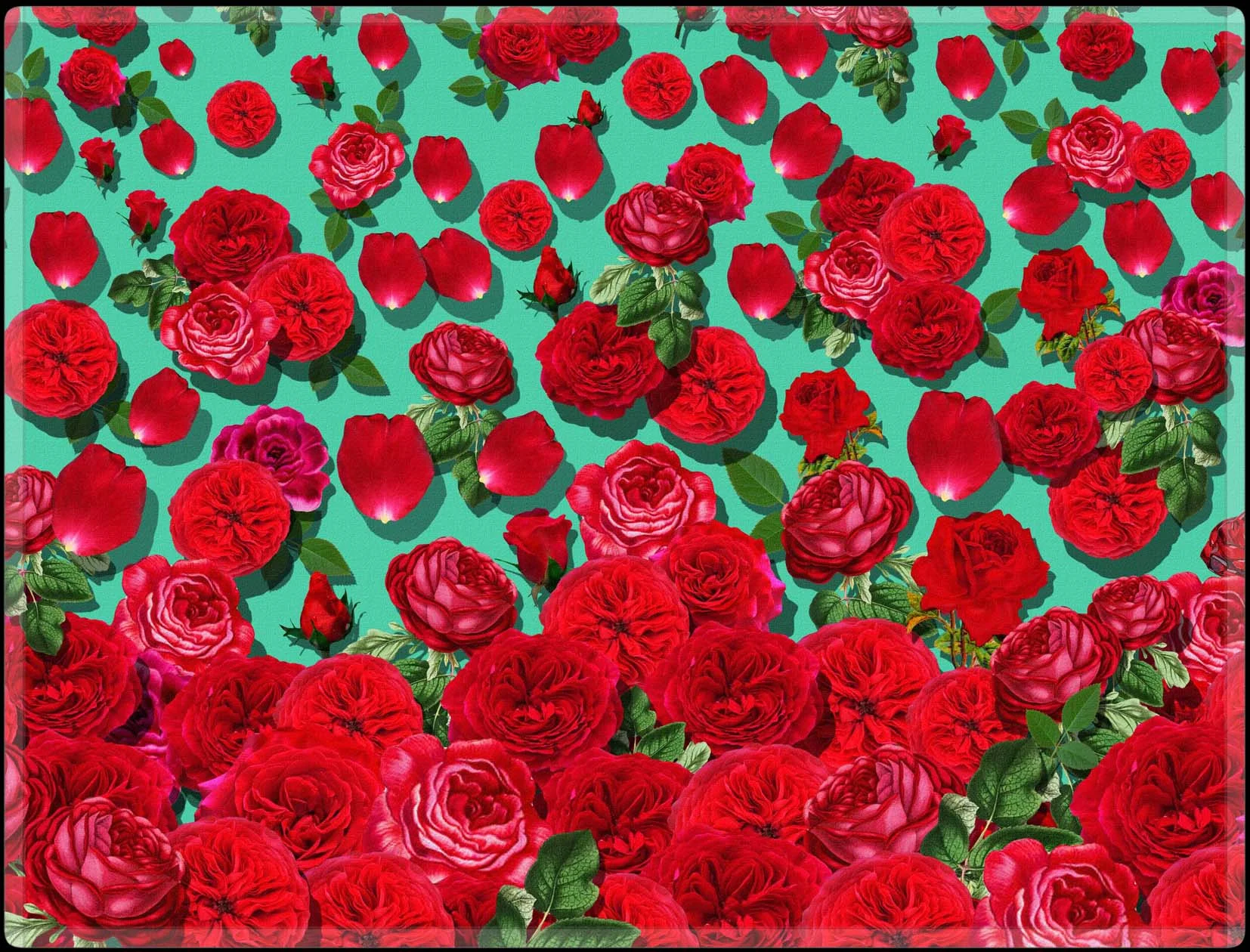 RED ROSE MINT GREEN THROW BLANKET