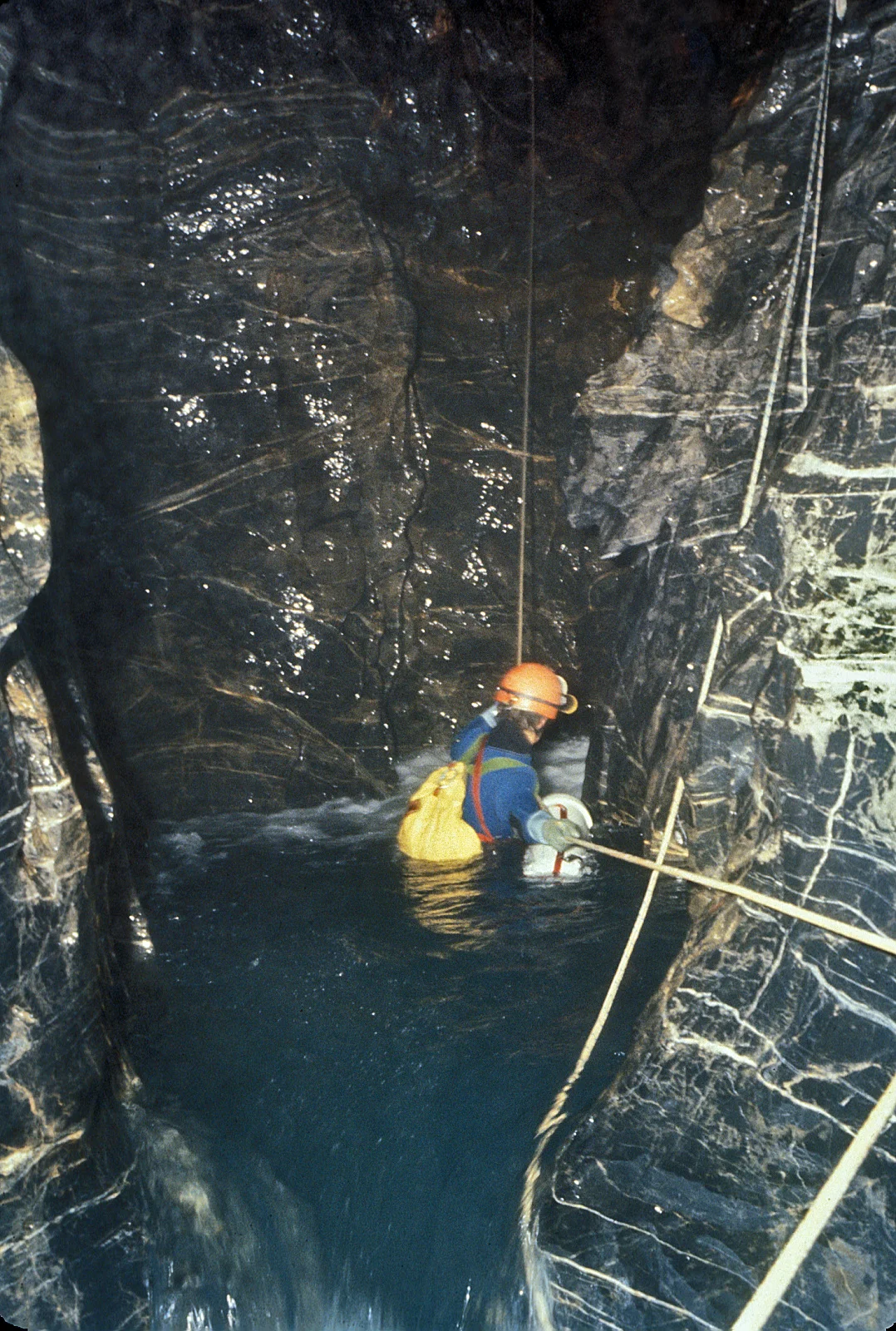 The Fishure, a series of wet drops above "the 318".