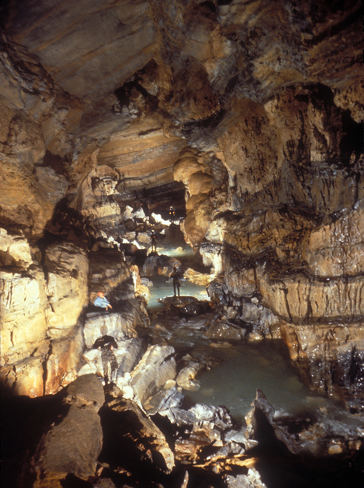   The Metro at the bottom of the Upper Gorge in the Sotano de San Agustín.  