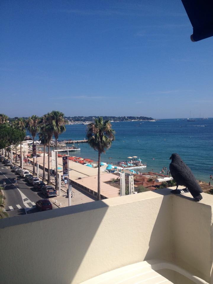 apartment view.jpg