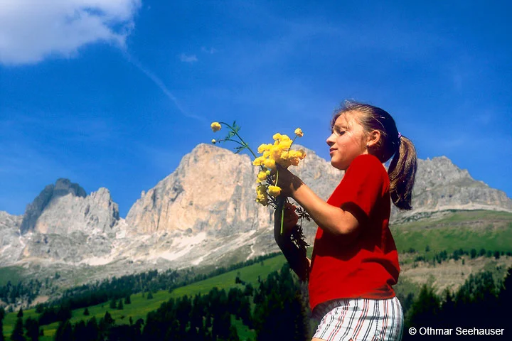 Rosengarten.jpg