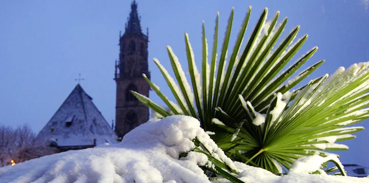 Bozen_5.jpg