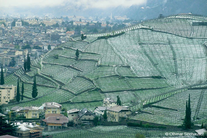 Bozen_2.jpg