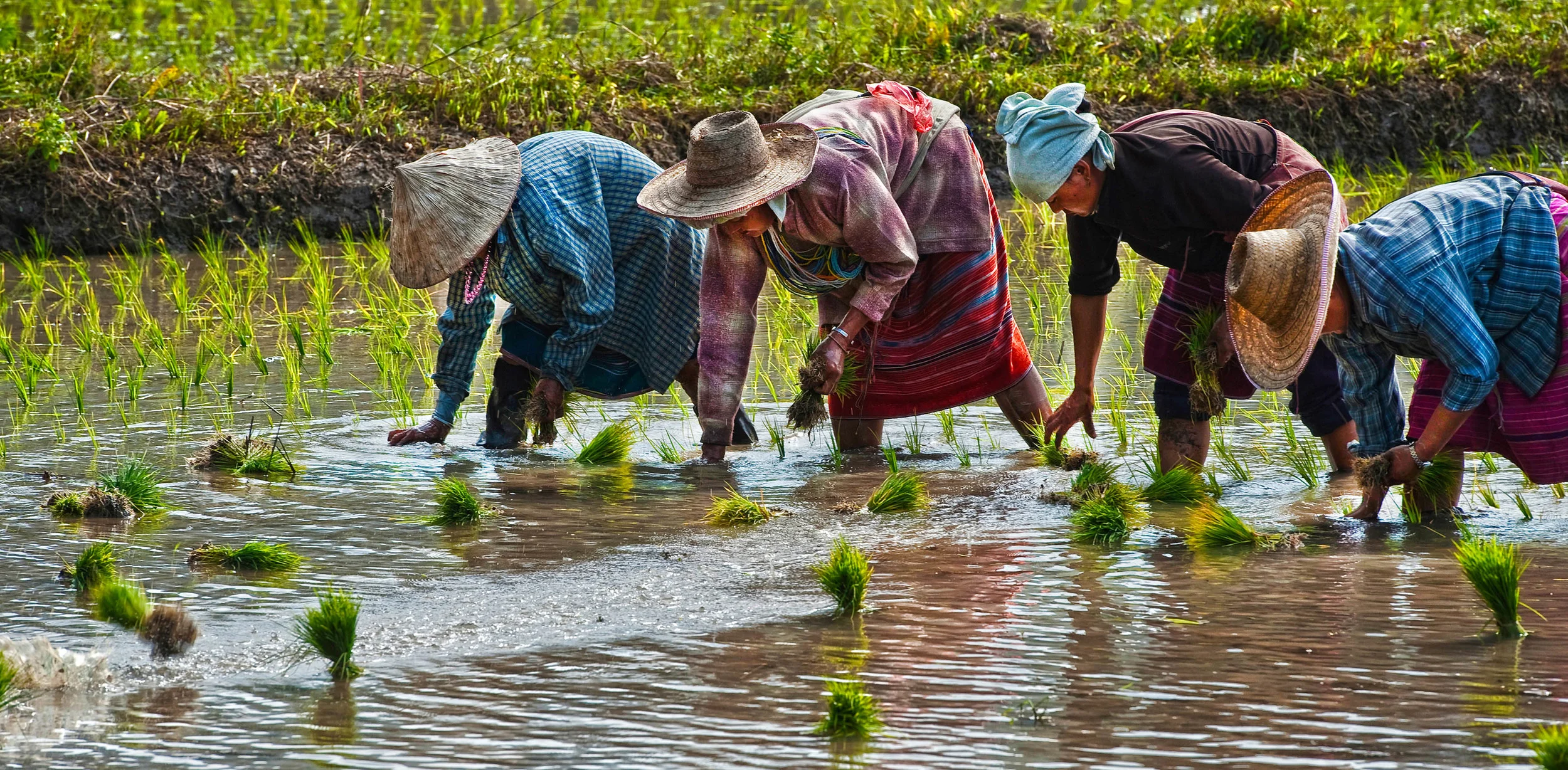 Chiang Mai, Thailand