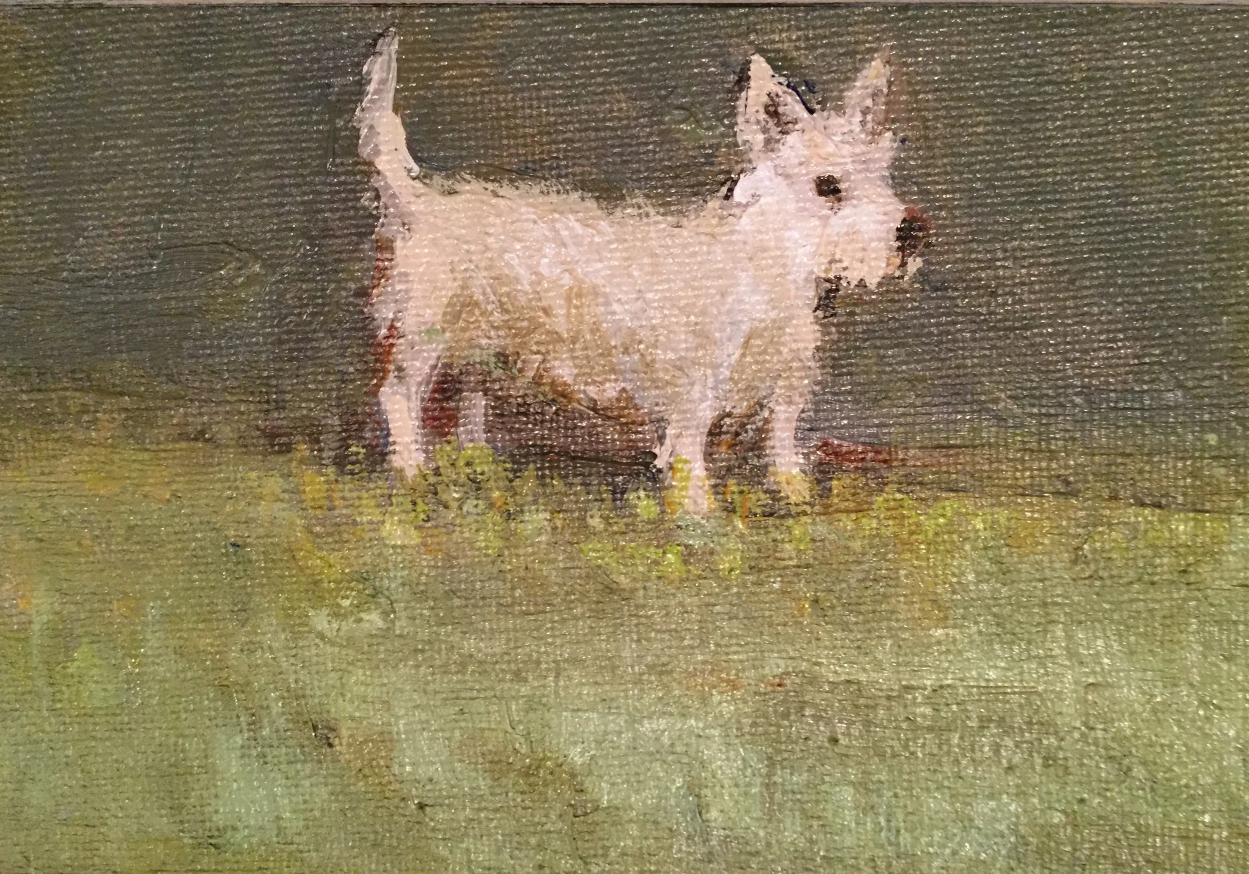Tiny Terrier detail