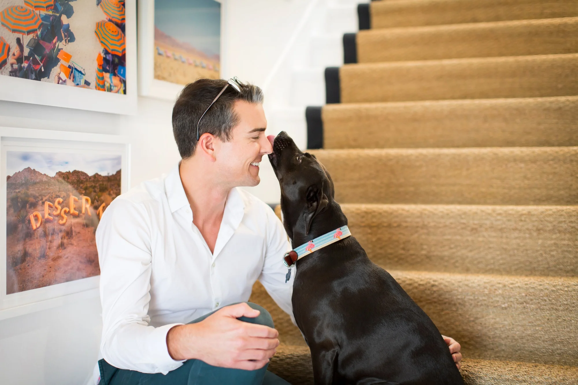 Gray Malin + Stella, his beloved rescue dog.