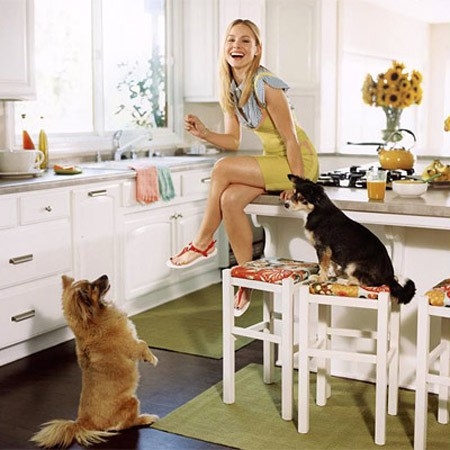Kristin Bell, her dogs, and Benjamin Moore's "Swiss Coffee" on the walls, "Simply White" on the cabinets. 