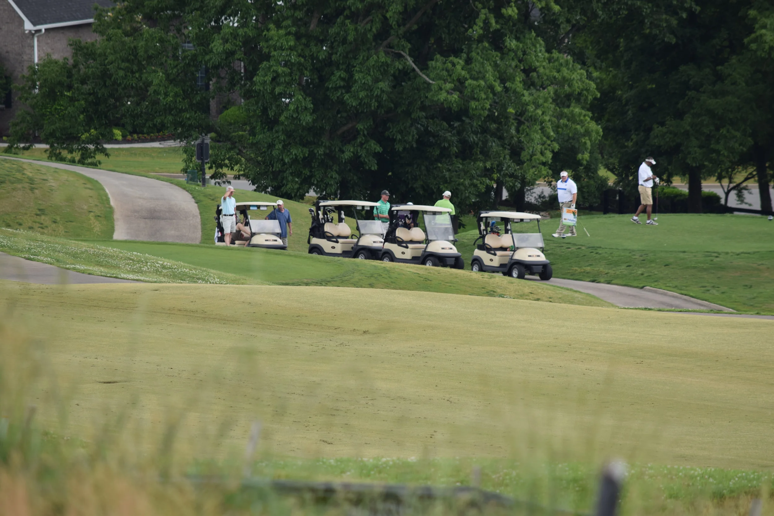 DSC_0247.JPG