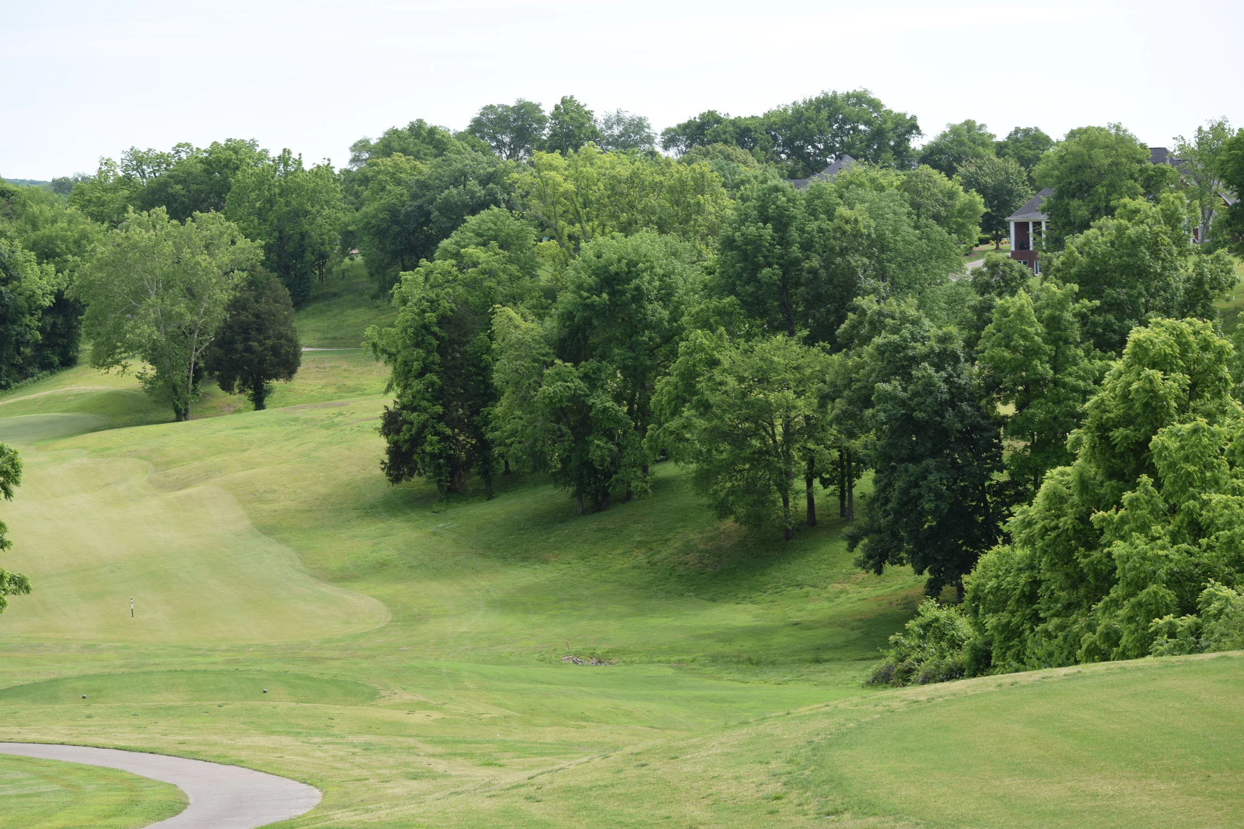 DSC_0412 - Copy (2).JPG