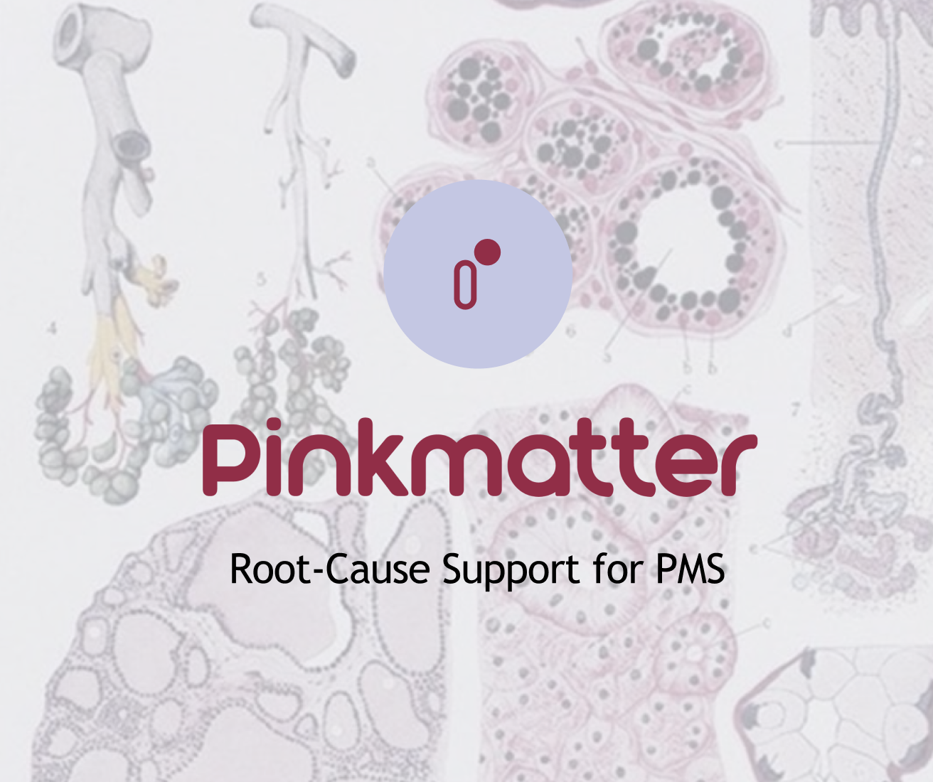 Pinkmatter Branding