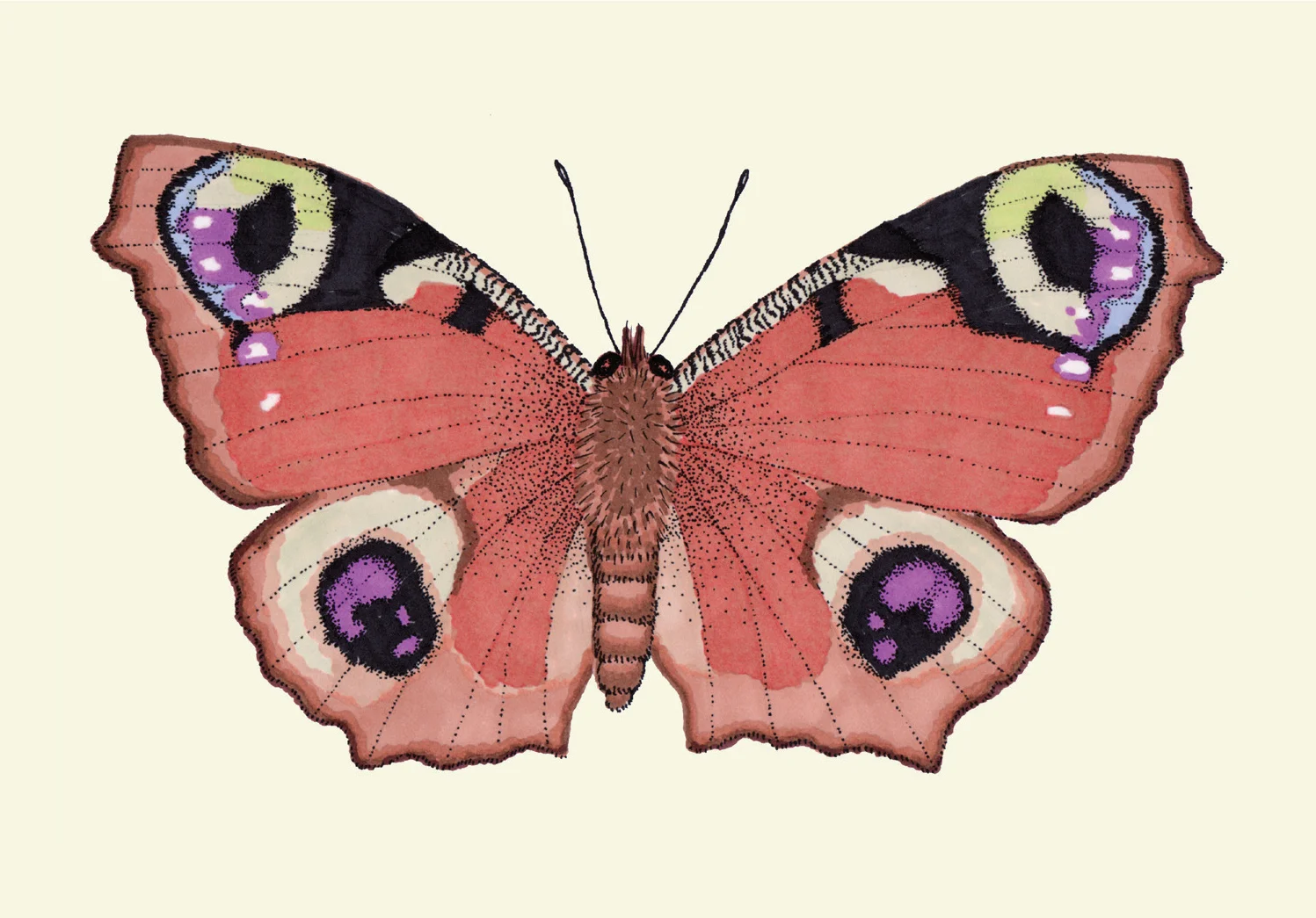 peacock_cream.jpg