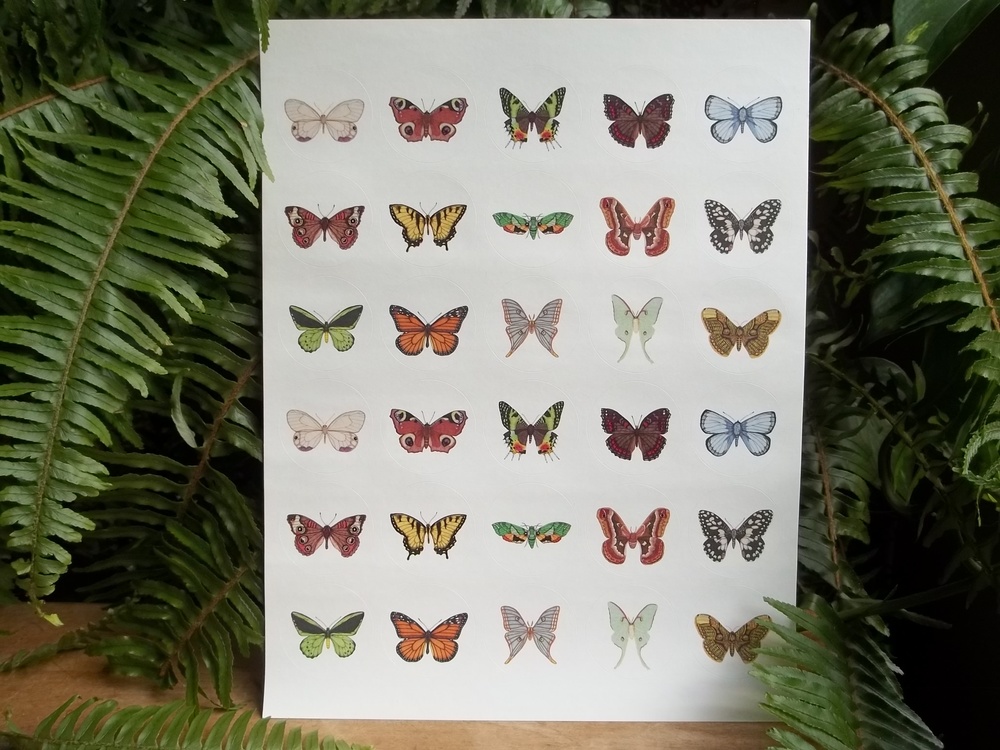 Clear Vinyl Luna Moth Sticker —mini cards Bridgette Jones Nature  Prints-Bridgette Jones Nature Prints