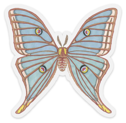 stickermule spanish moon moth.png