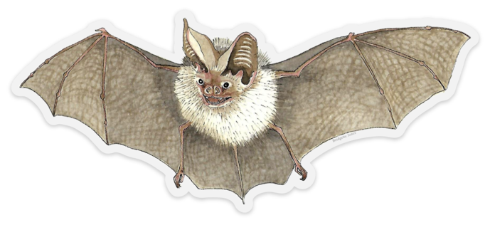 stickermulebat.png