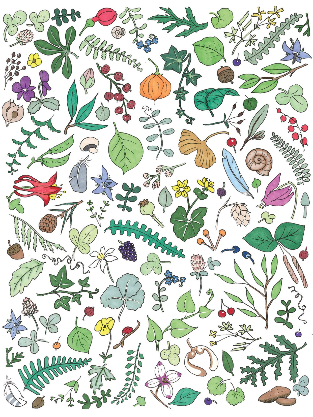 Forest collage Note Card (Copy)