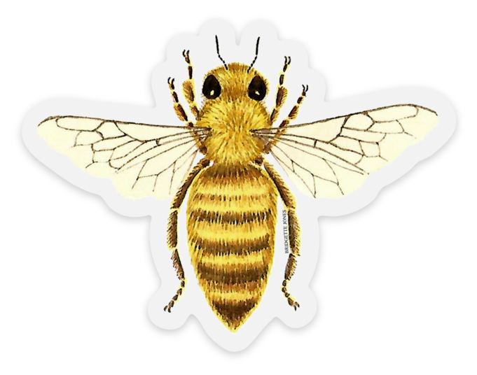 Clear Vinyl Honey Bee Sticker Set of 2 —mini cards Bridgette Jones Nature  Prints-Bridgette Jones Nature Prints