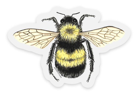Clear Vinyl Bumble Bee Stickers 2Pack —mini cards Bridgette Jones Nature  Prints-Bridgette Jones Nature Prints