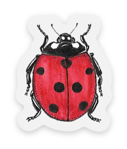 stickermuleladybug.png