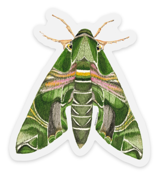 stickermuleoleander.png