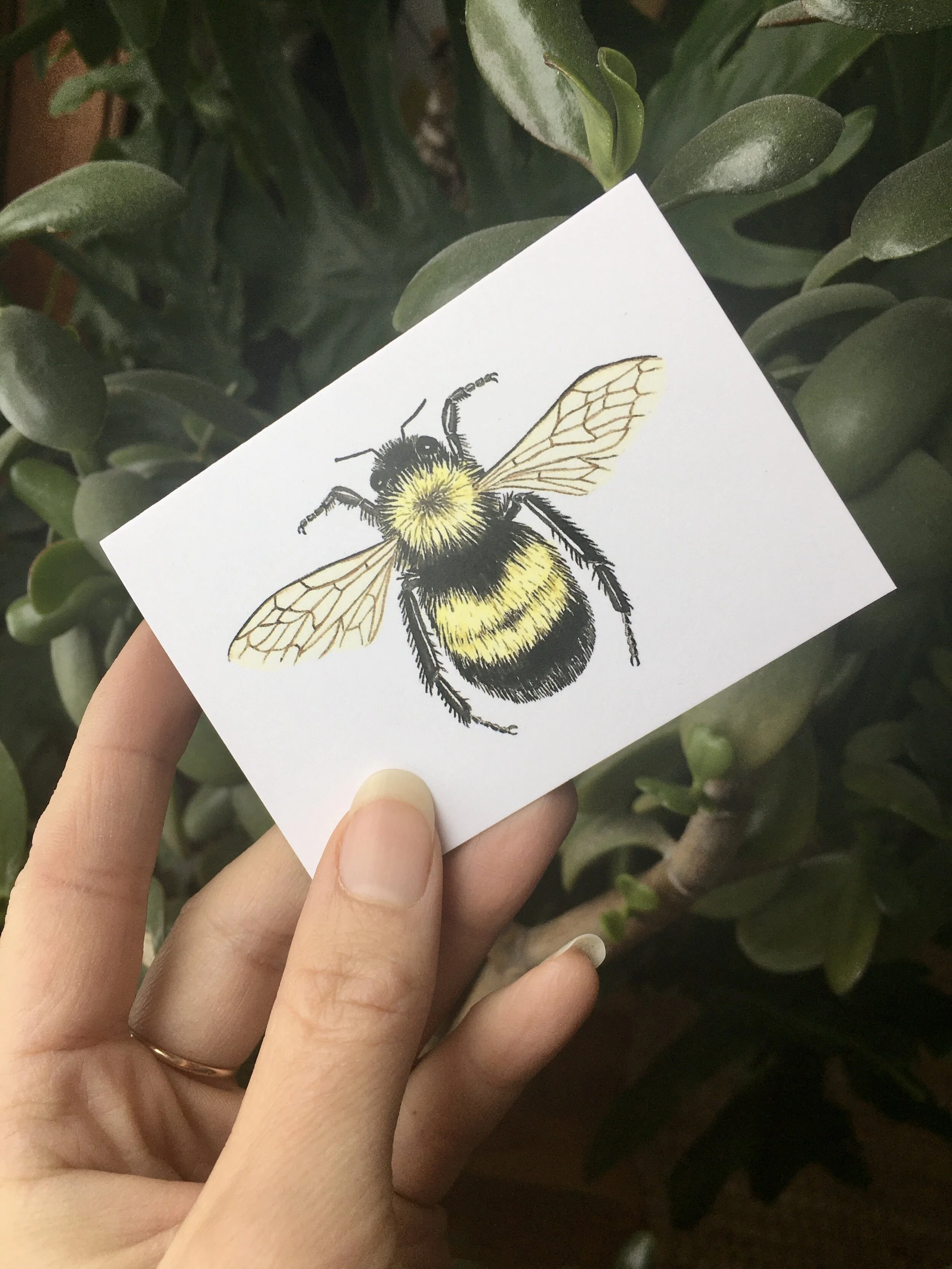 D855B3FF-5BDB-4C25-9D11-606FF5743FD8