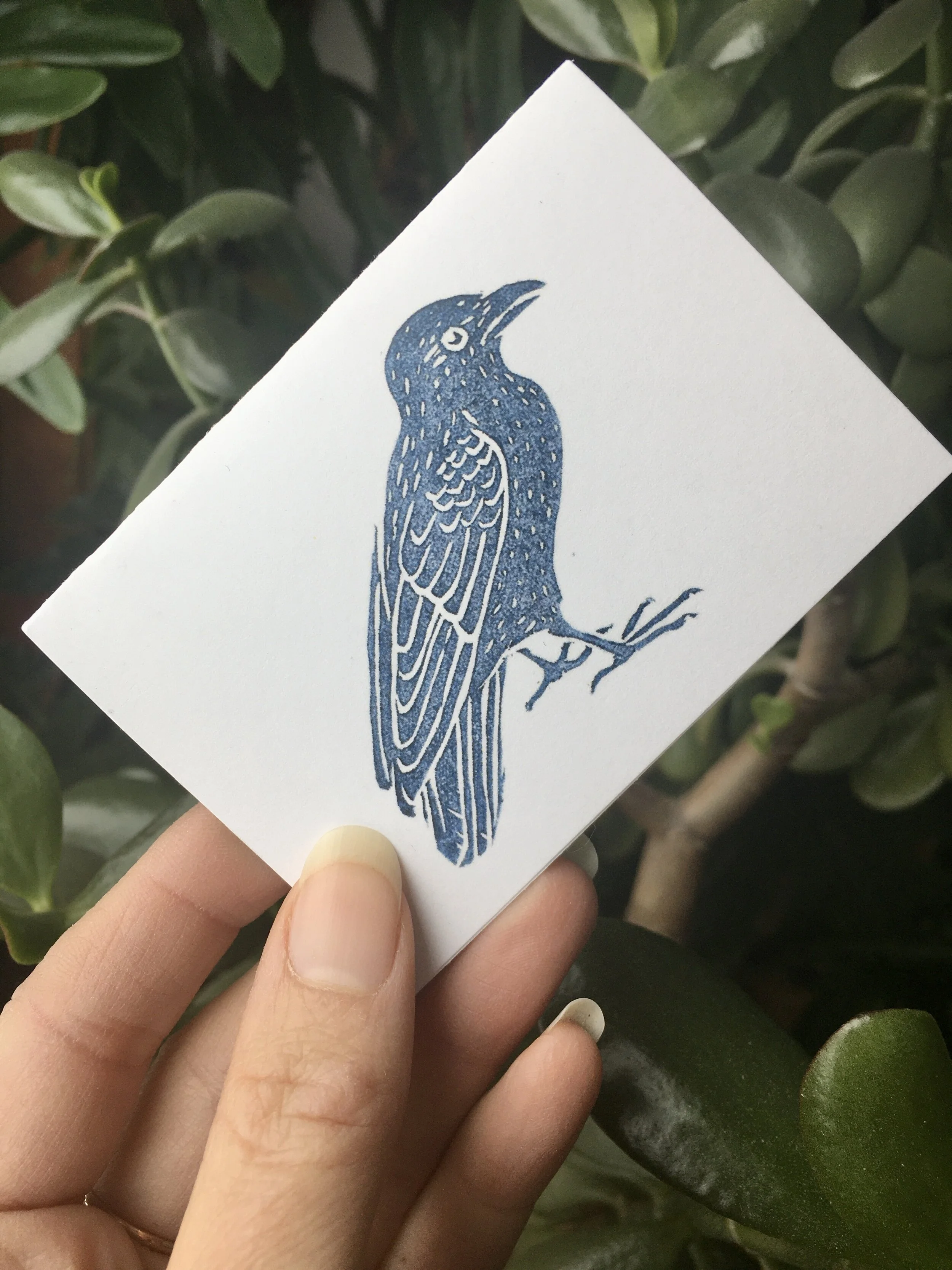 0E9EE923-F394-432D-93C8-5FF1E3D1B8F3