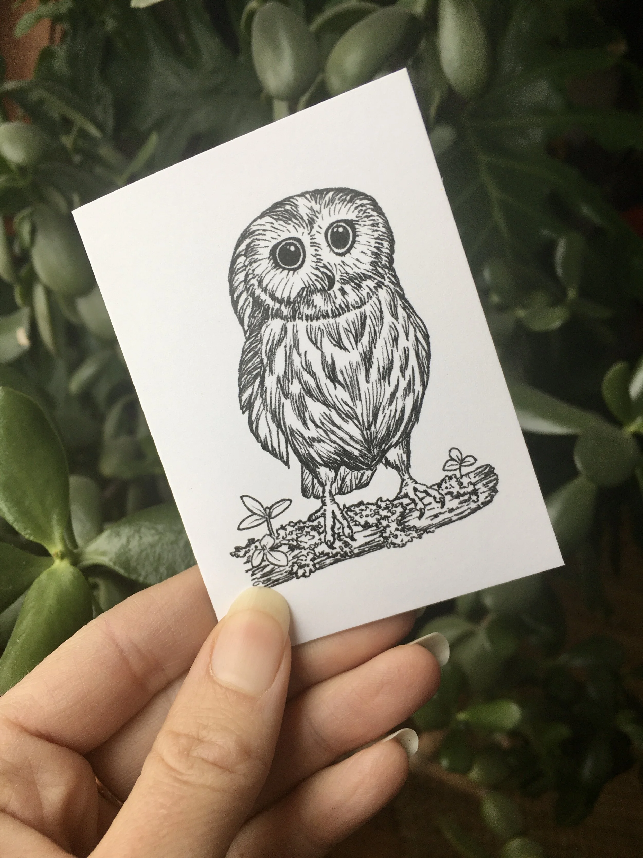 A7DD233F-39DB-497B-A6CB-6D3A300D67F0