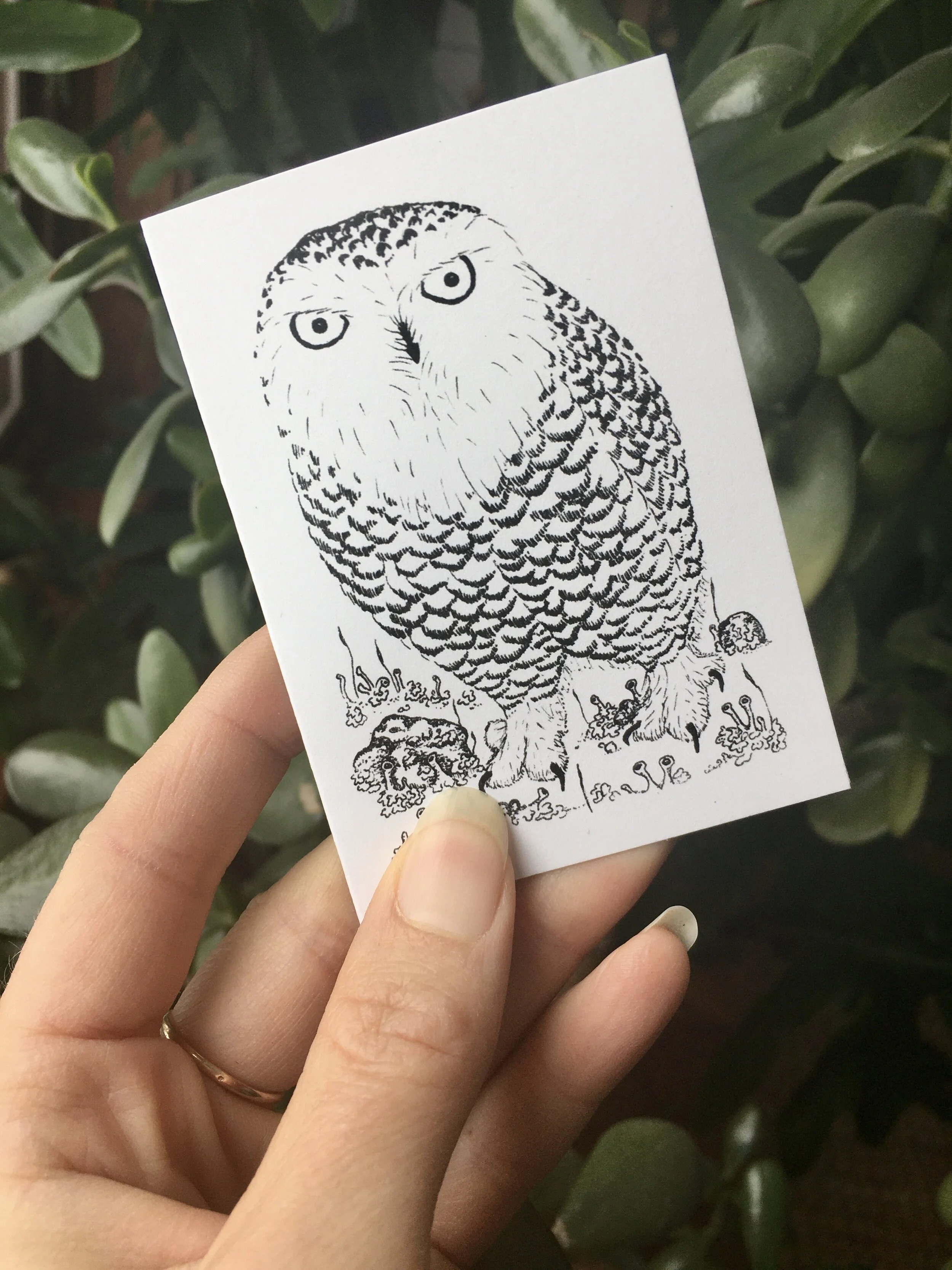 9EADC8A4-CD96-4FF7-BC71-BAB85C1D63FE