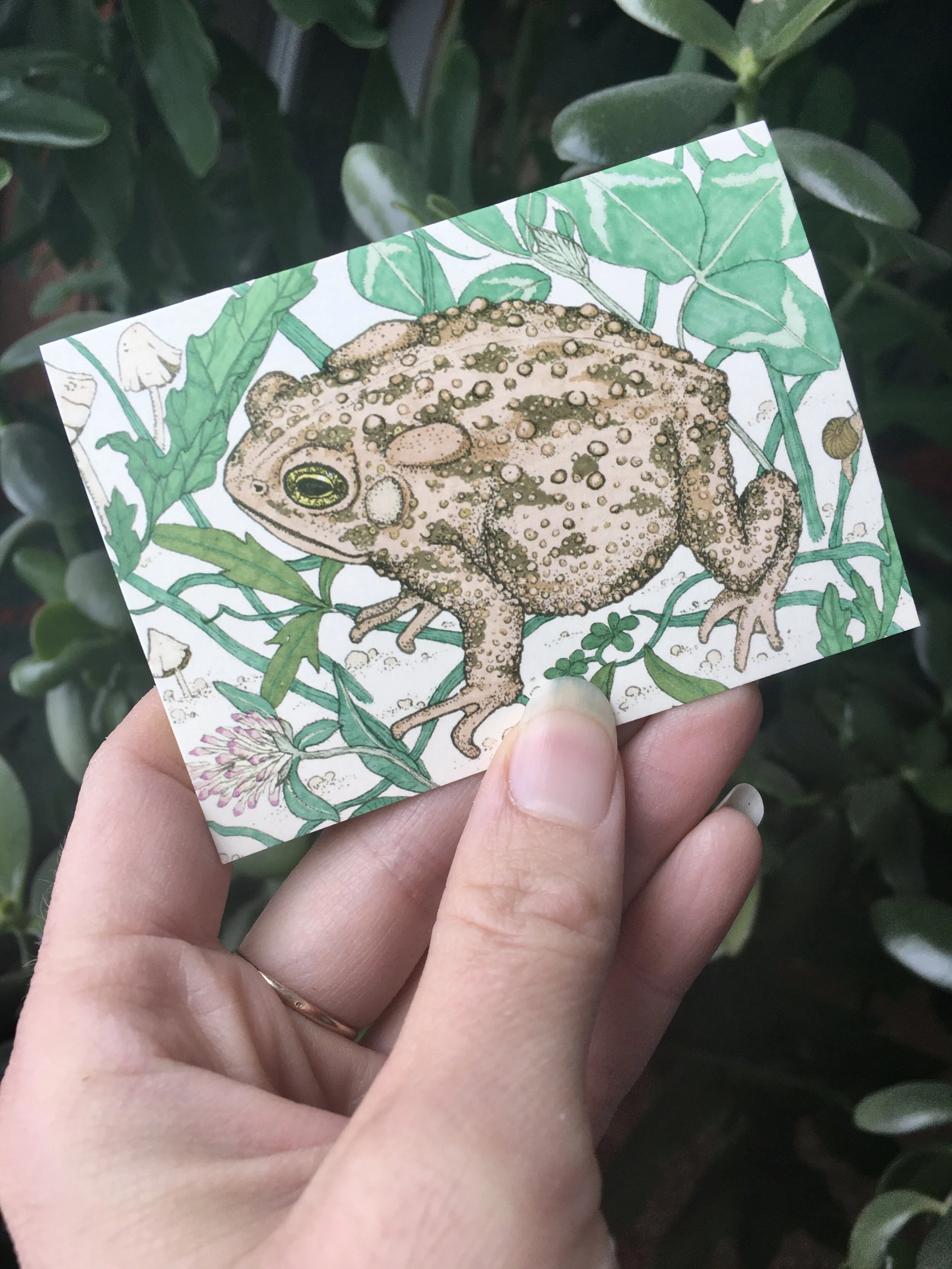 B639554E-5844-4C2A-9EC2-DDE1C17AEEFF