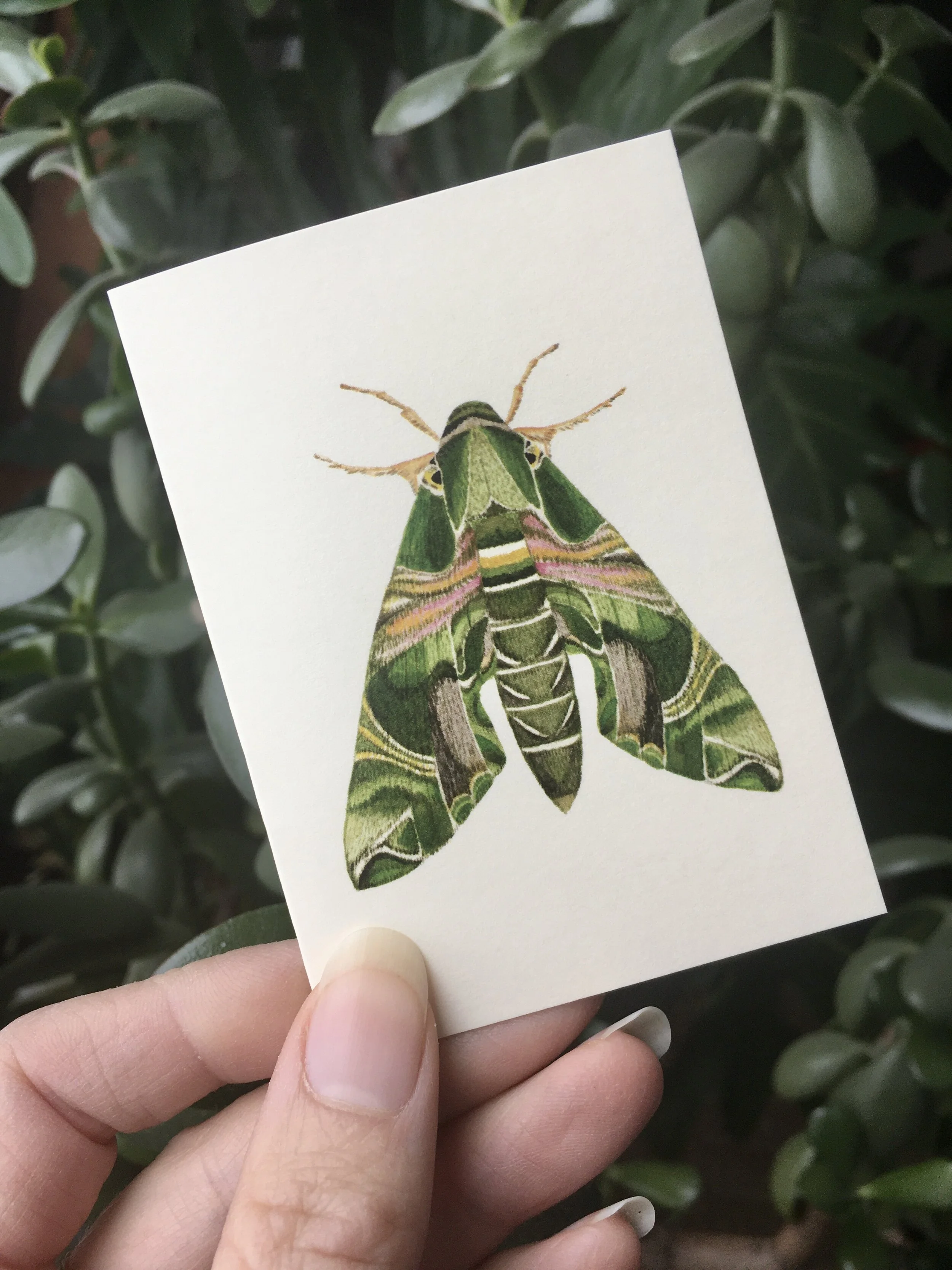 42E0E74D-5E8B-4DA3-AE74-7A932C58B623