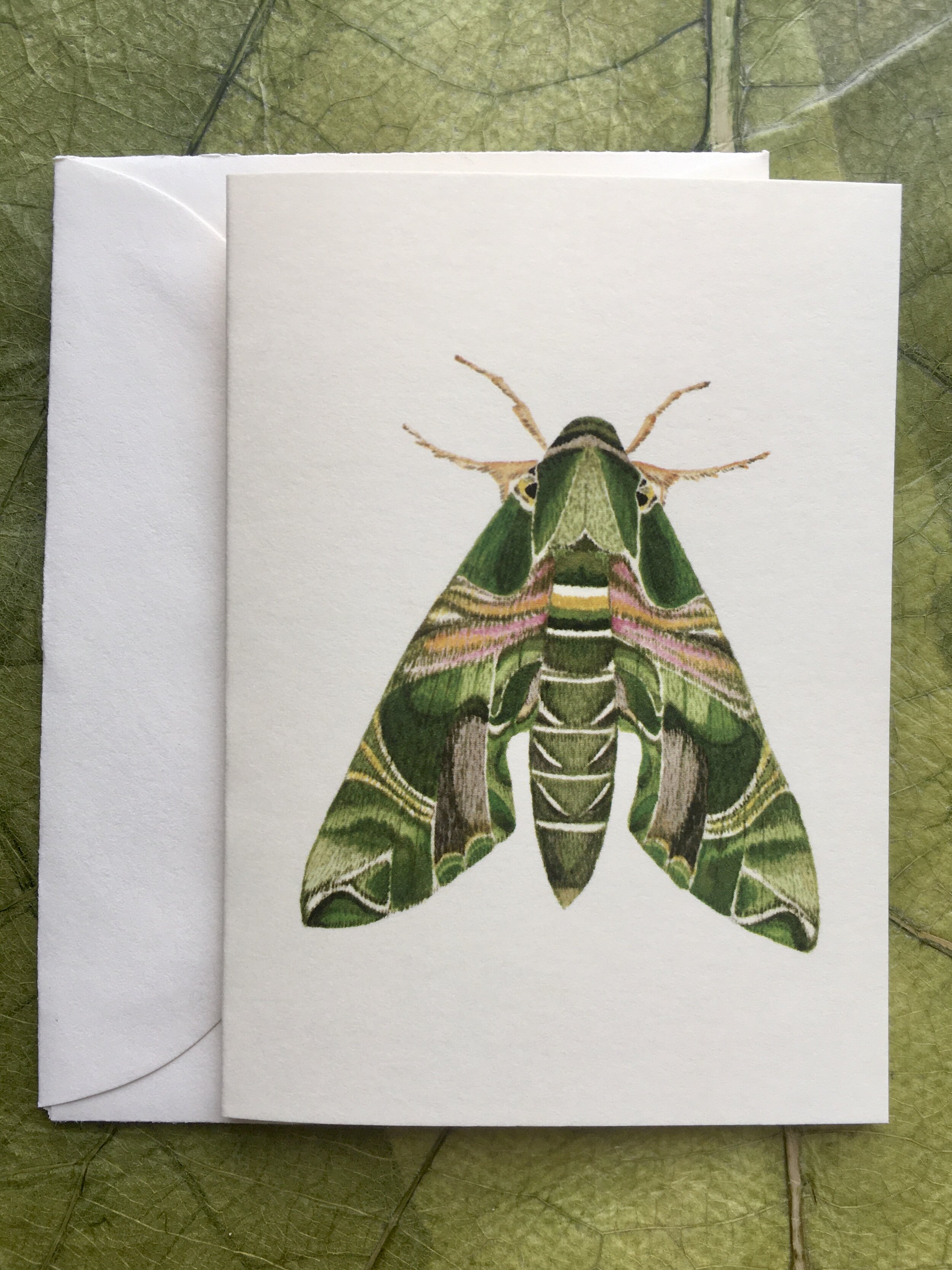 529EFE9A-F98C-4D6D-ADD4-41058EC2A3EF