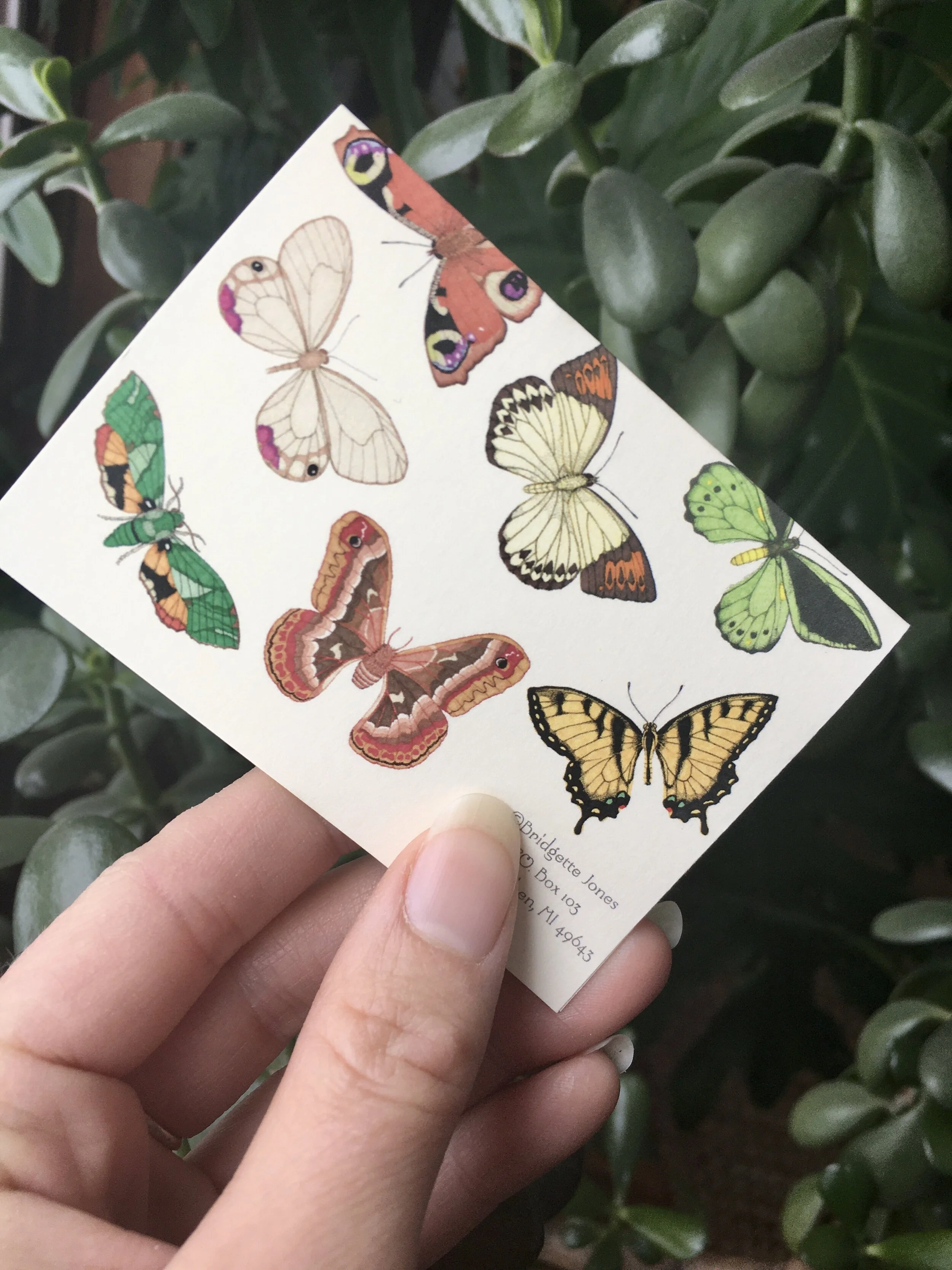 3CEFFFE5-9B0E-42E6-A851-0EDF5BCDAA59