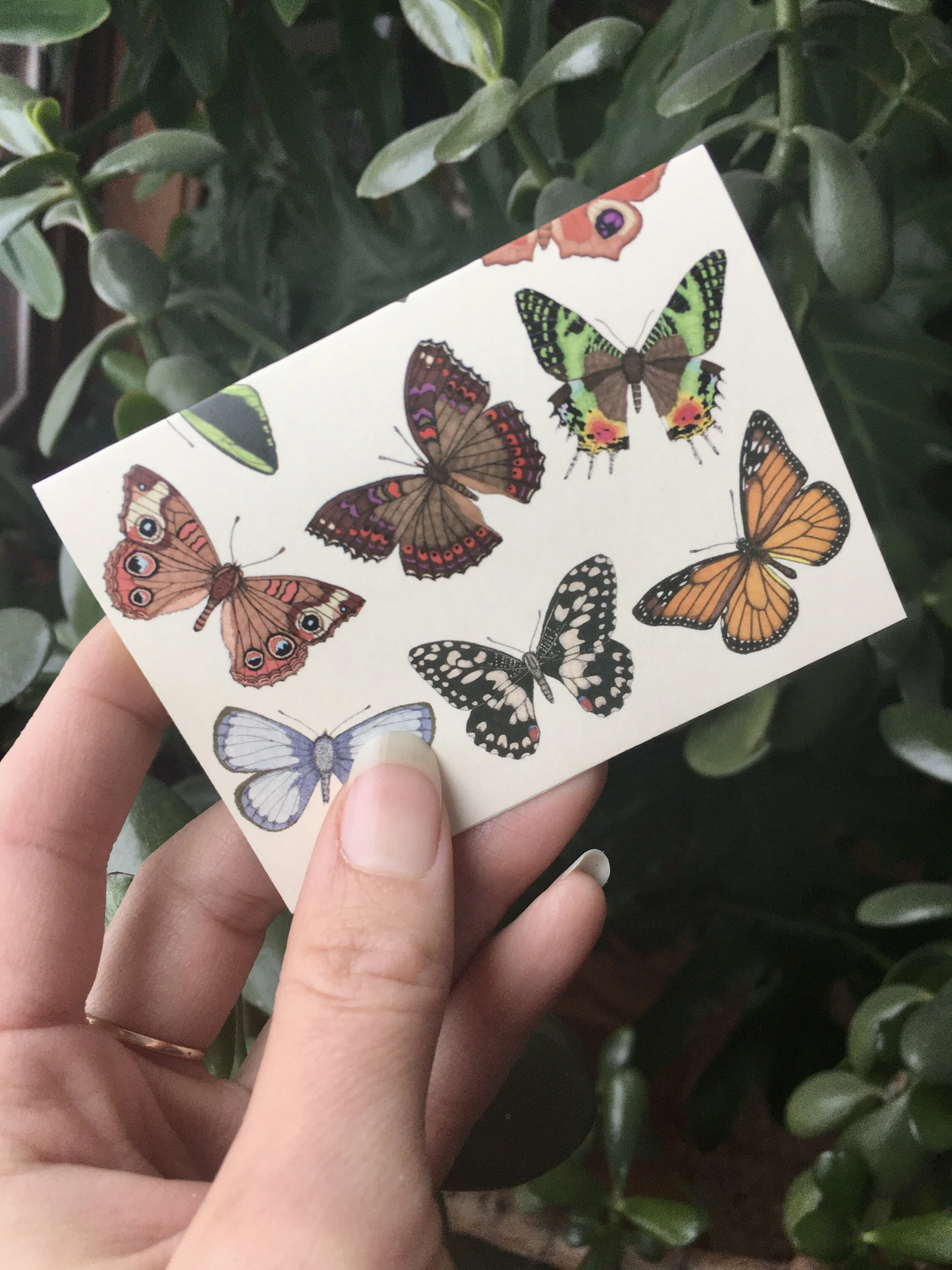 69AA6601-9D29-4772-B770-7B8472B96EA3