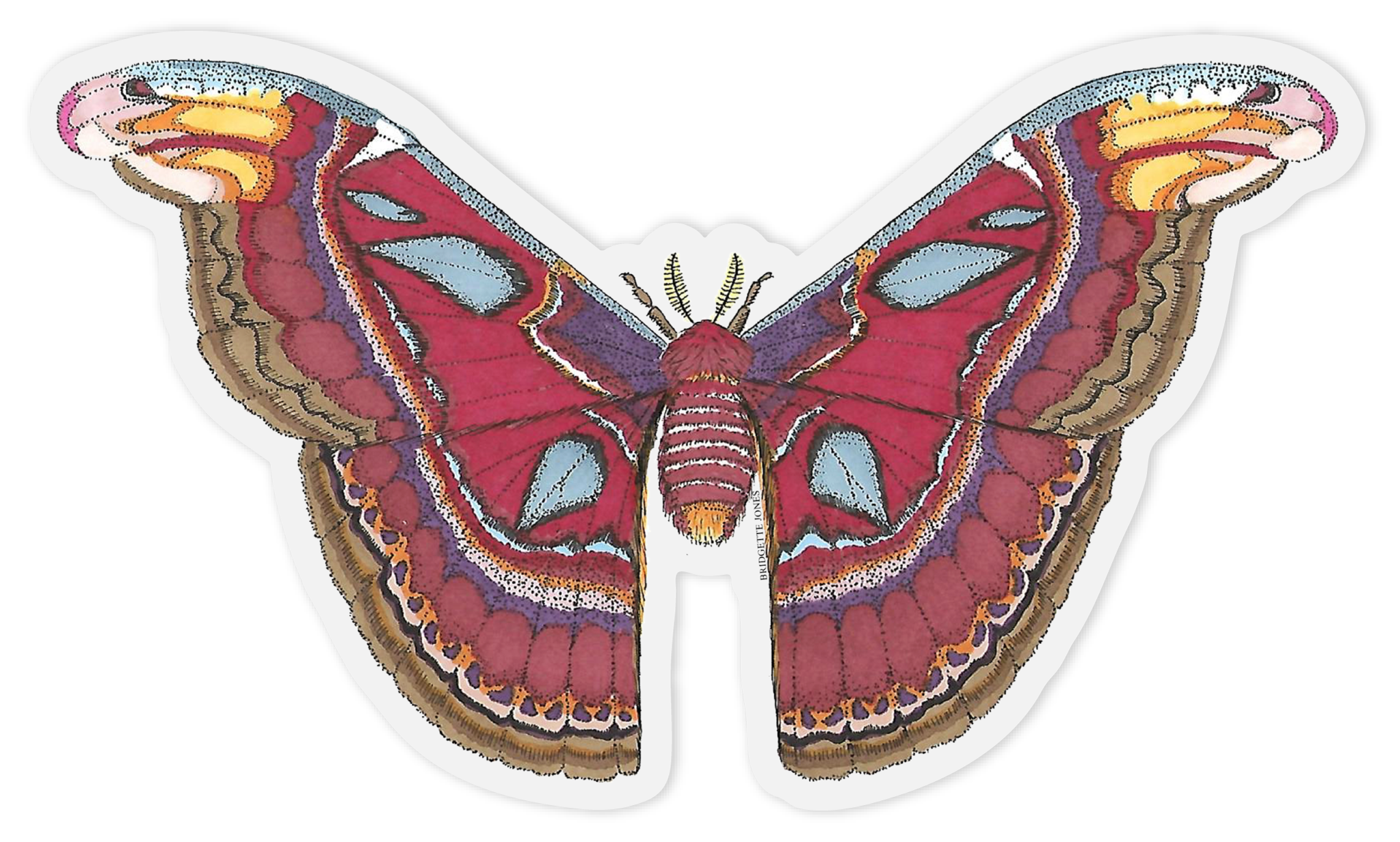 atlas sticker outline.png