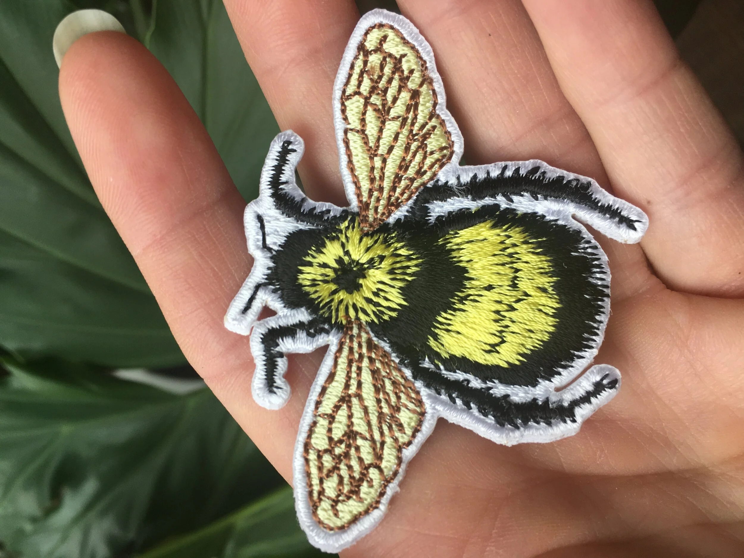 87EA22C9-BEC4-4970-8100-CFF389CFE7A8