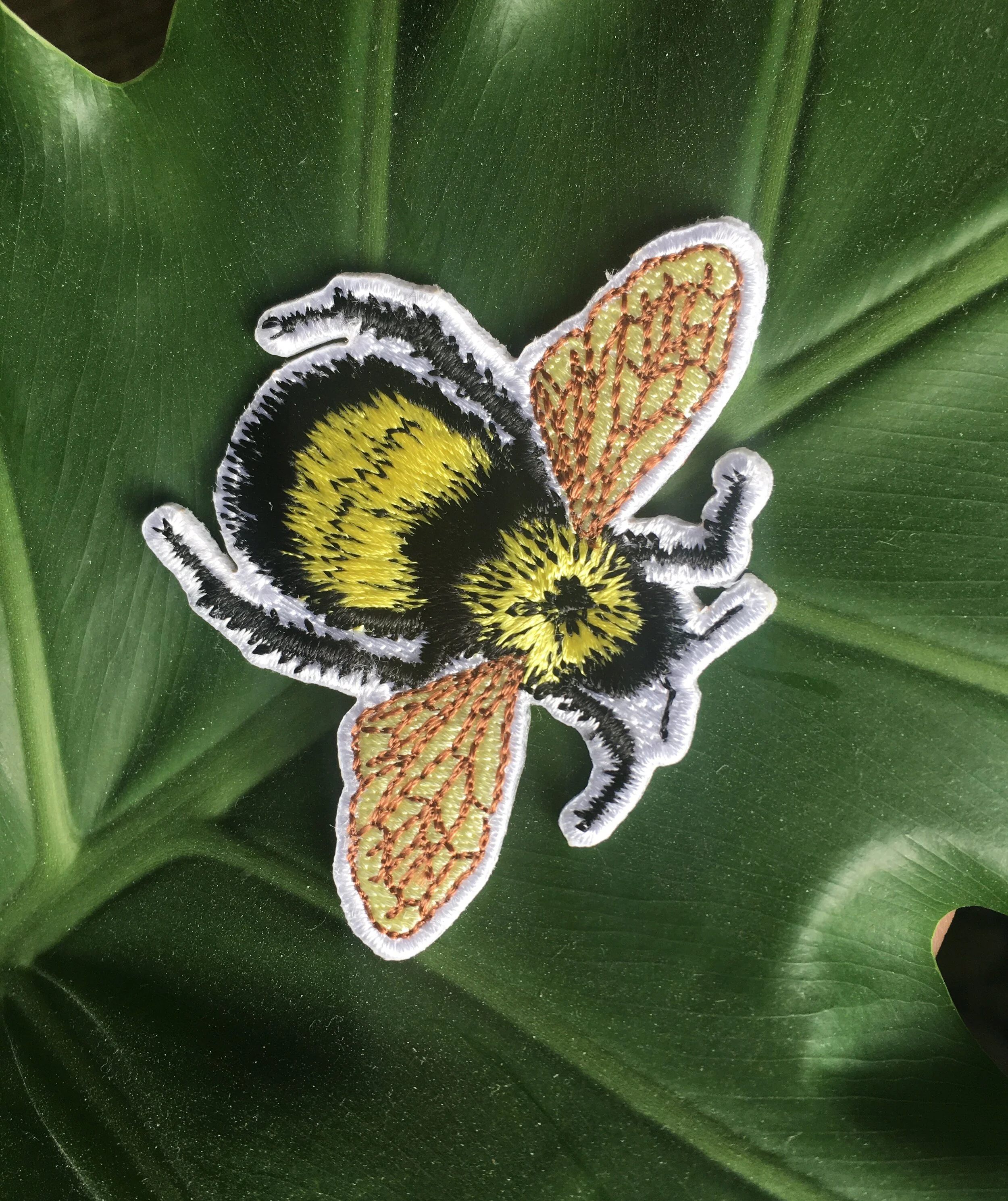 CF5334CF-58CF-4A8A-9C45-2C5CFADDC54C